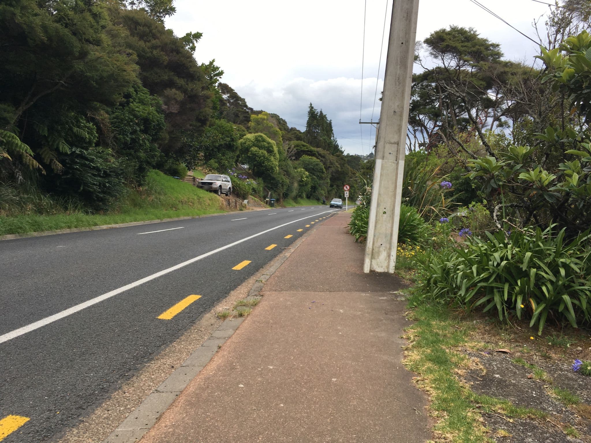 Street view near Punga Lodge, Oneroa — © svance92 (CC BY-SA · Mapillary)