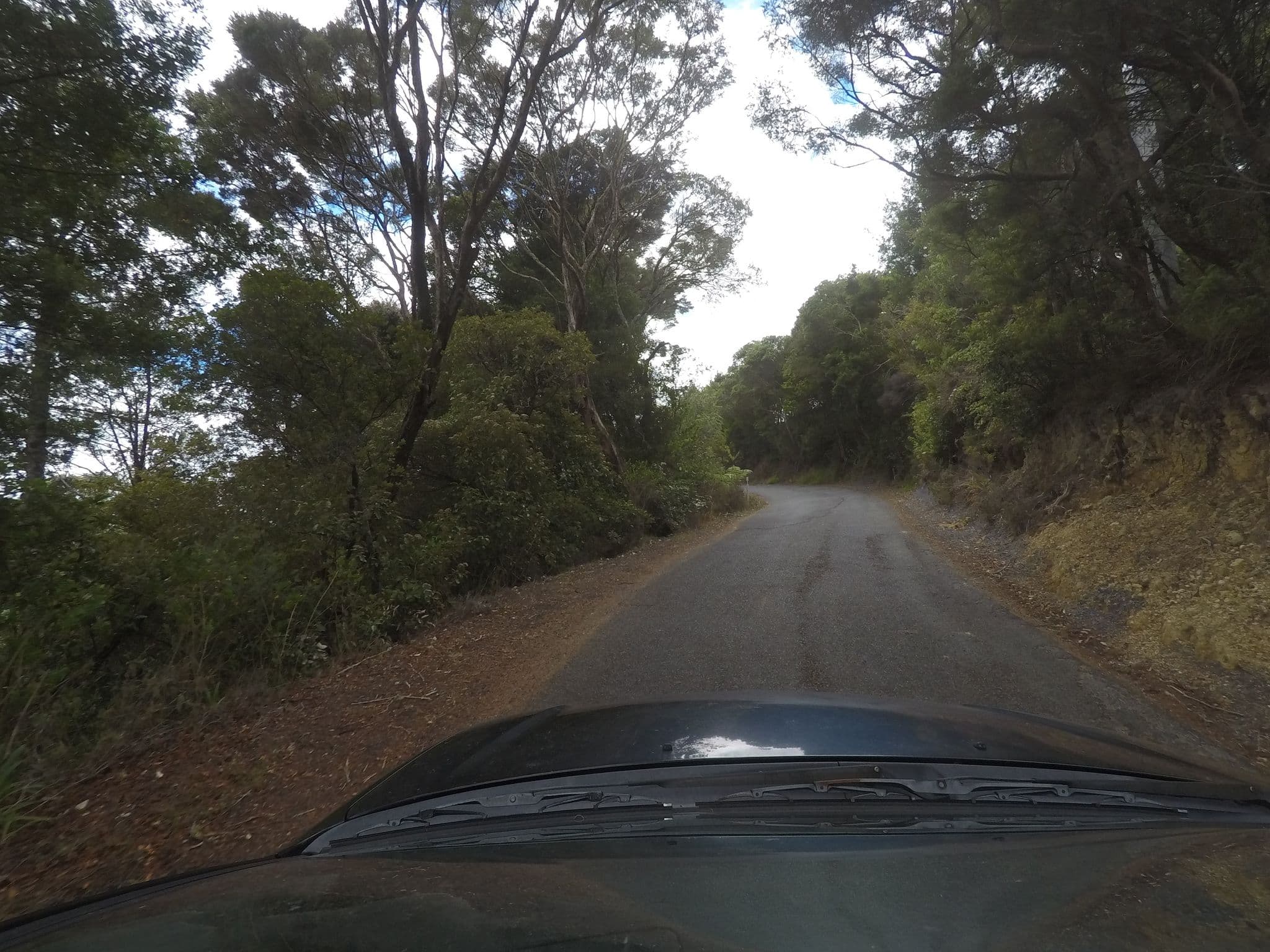 Street view near Allure Lodge, Paihia — © ralley (CC BY-SA · Mapillary)