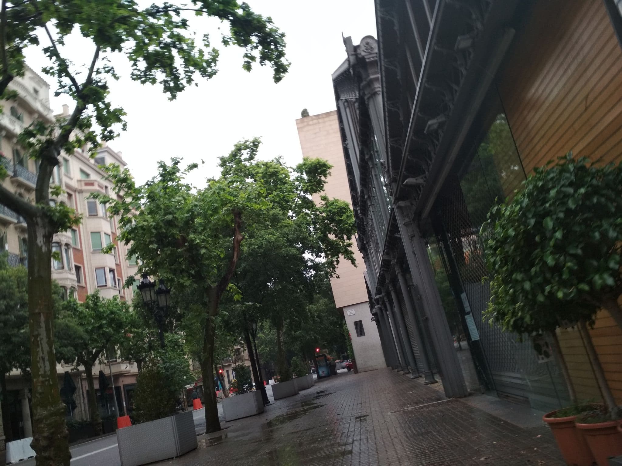 Street view near Hostal Argo, Dreta de l'Eixample — © toniserra (CC BY-SA · Mapillary)