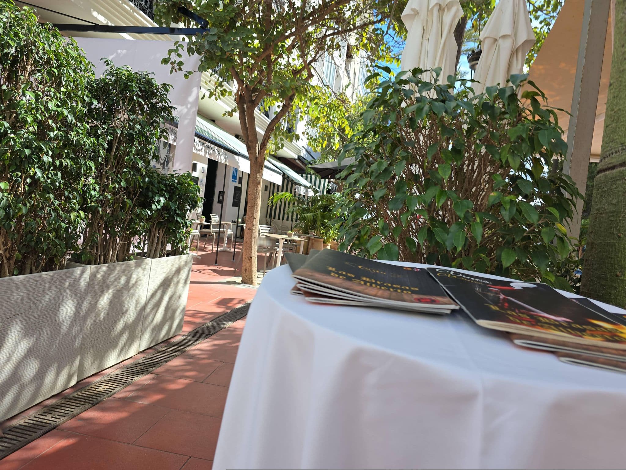 Street view near Hotel Estepona Plaza, Estepona — © filipc (CC BY-SA · Mapillary)