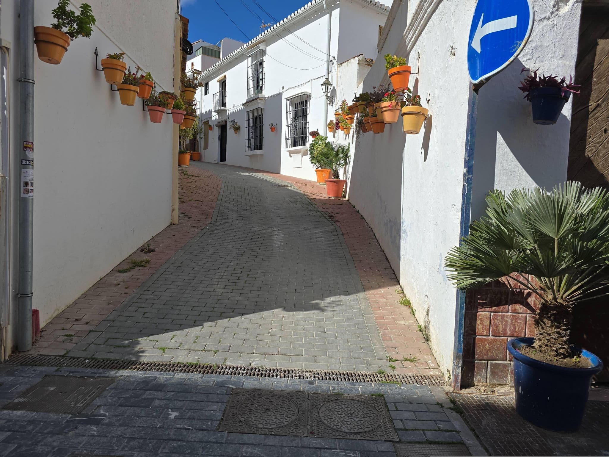 Street view near Casa San Miguel, Estepona — © filipc (CC BY-SA · Mapillary)