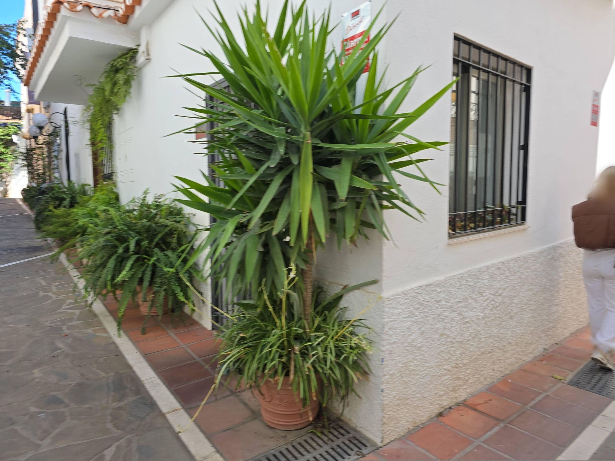 Street view near VILLTAK La Maison Hotel, Marbella — © filipc (CC BY-SA · Mapillary)