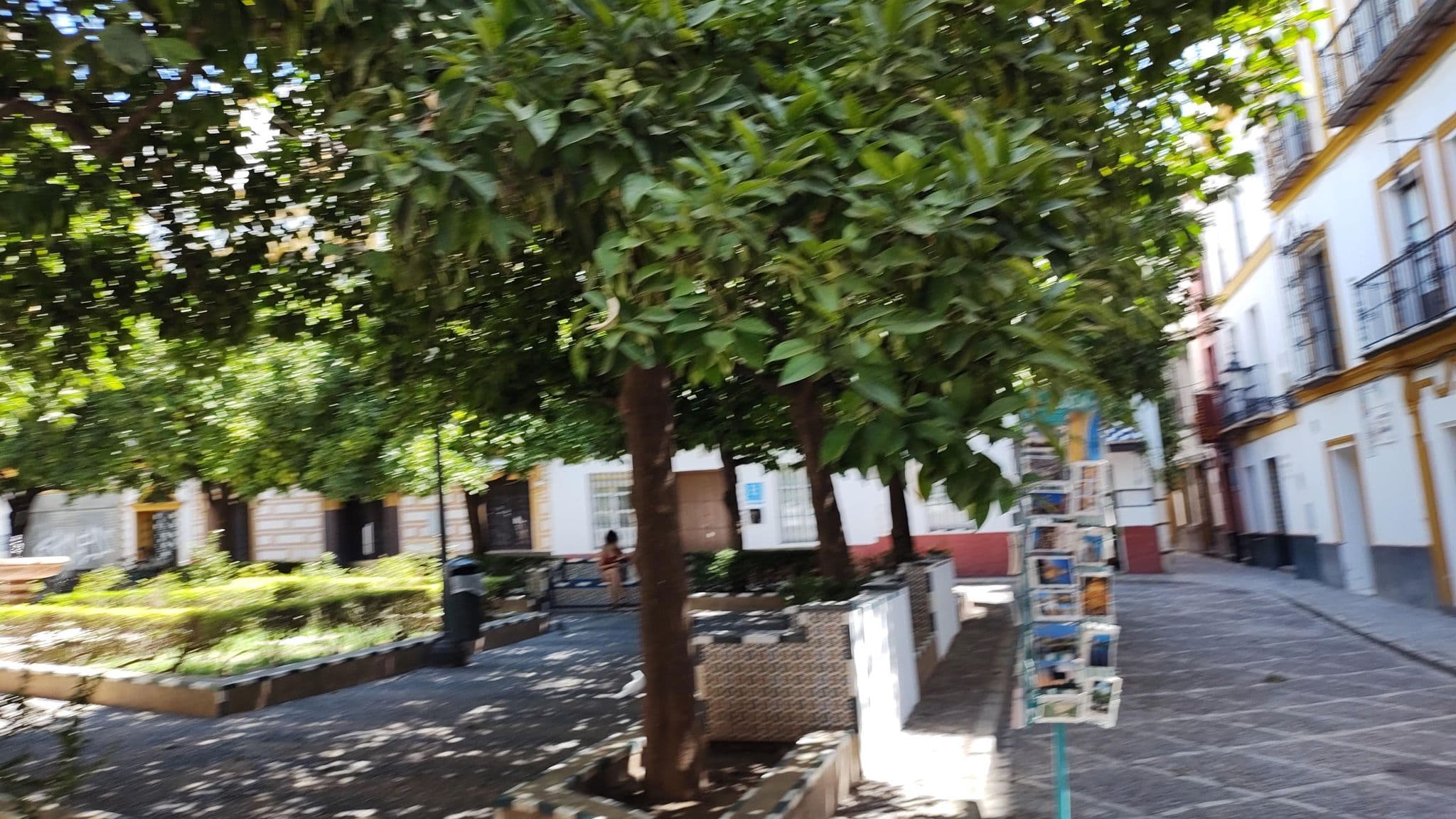 Street view near Hotel Boutique Elvira Plaza Sevilla, Sevilla — © rsandu (CC BY-SA · Mapillary)