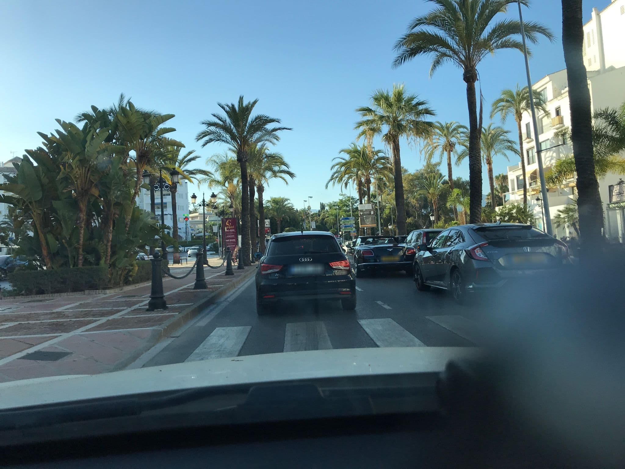 Street view near Jardines del Puerto, San Pedro Alcántara — © pedromartinez (CC BY-SA · Mapillary)