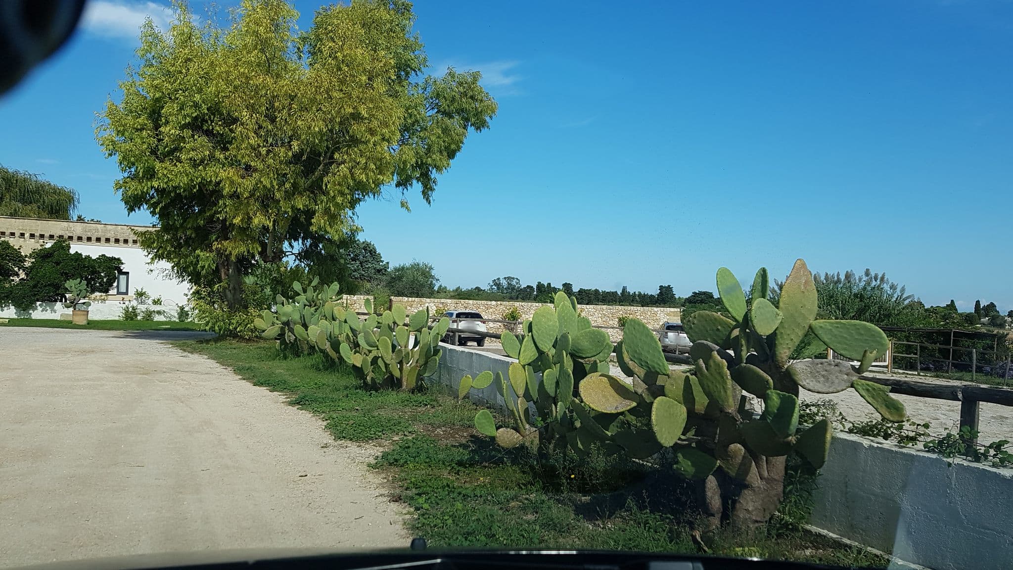 Street view near Masseria Prosperi Luxury Boutique Farm, Villa & SPA, Borgagne — © ale_zena_it (CC BY-SA · Mapillary)