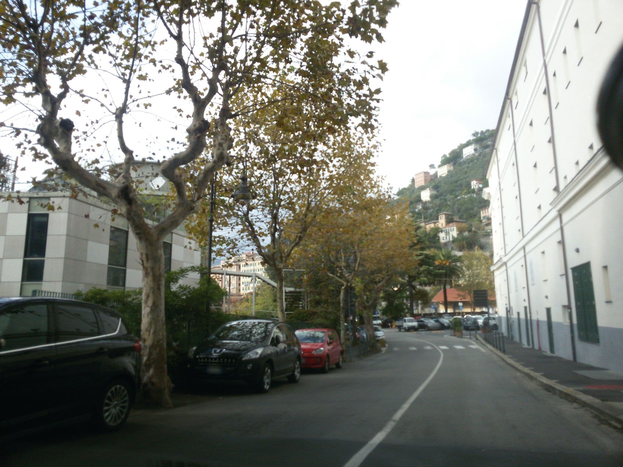Street view near Carrick Hotel Camogli, Camogli — © ale_zena_it (CC BY-SA · Mapillary)