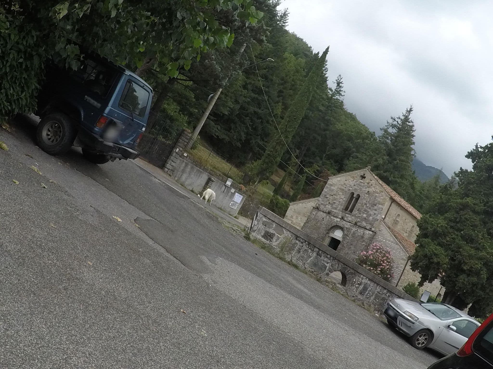 Street view near Albergo - Ristorante San Paolo, Fivizzano — © cxc (CC BY-SA · Mapillary)