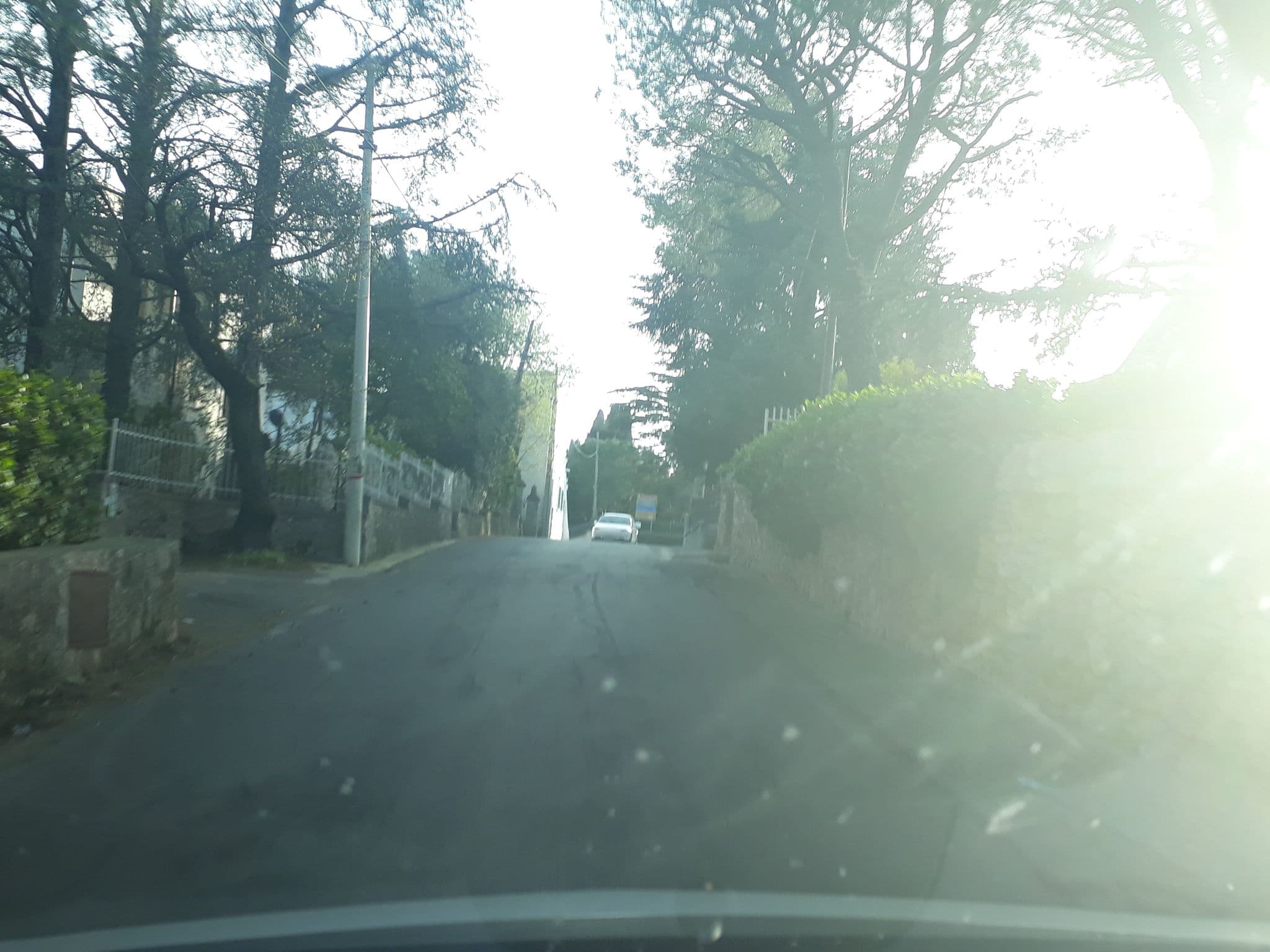Street view near B&B Domus Relax, Lamie di Olimpie-Selva — © spike73 (CC BY-SA · Mapillary)