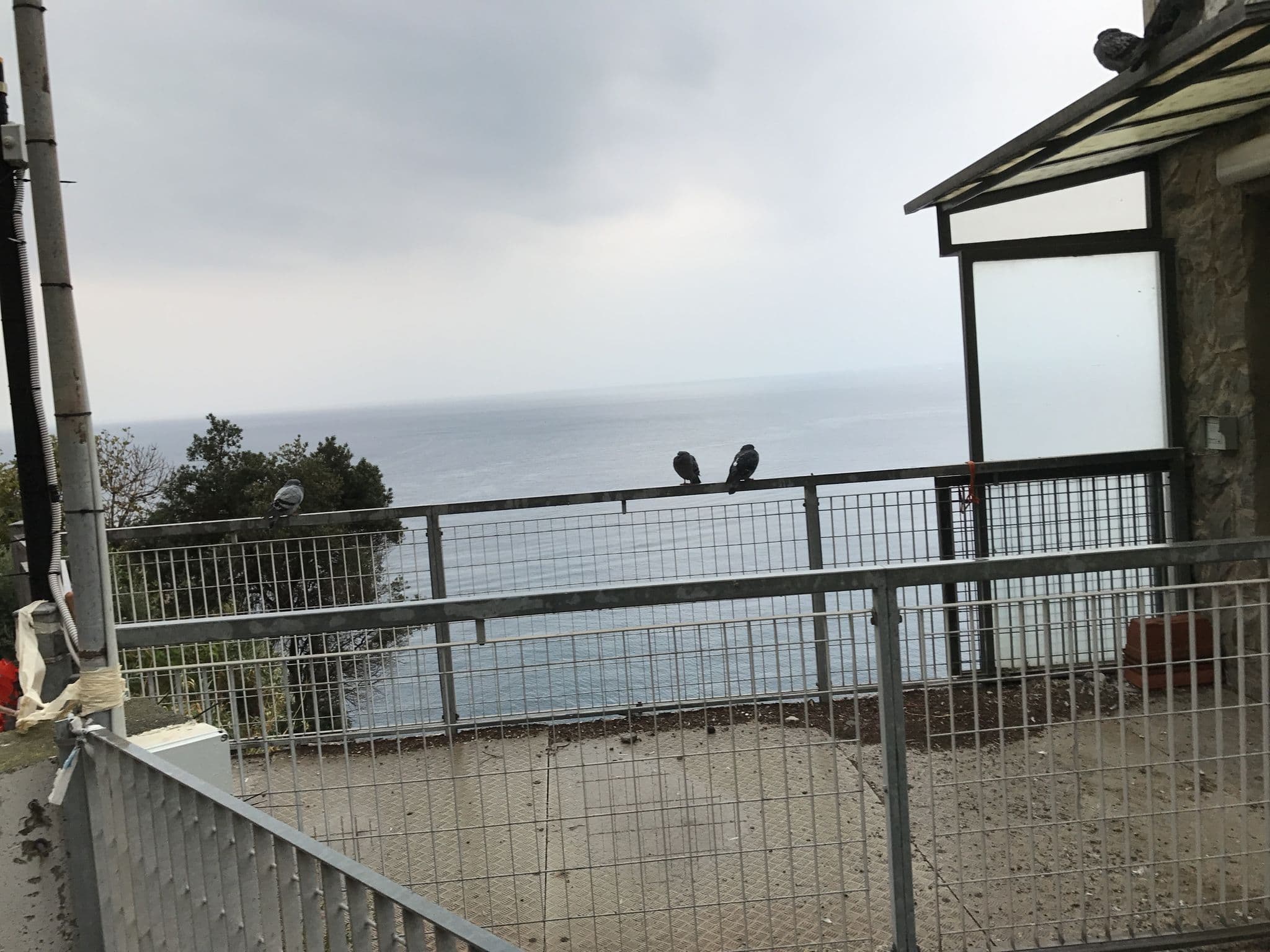 Street view near Sollevante Guest House, Riomaggiore — © ugz (CC BY-SA · Mapillary)