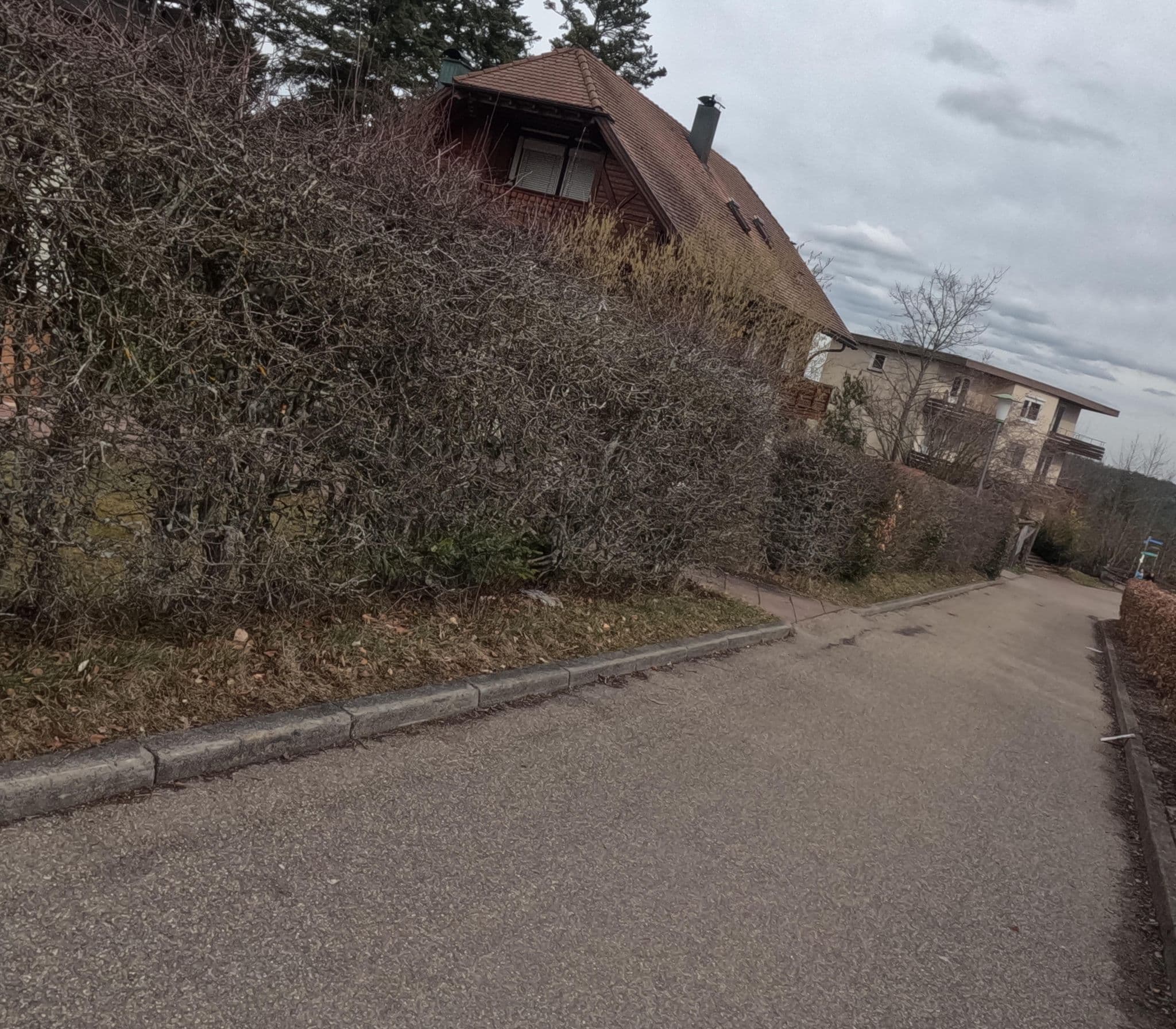 Street view near Auerhahn - Hotel und Restaurant in Bad Wildbad, Bad Wildbad — © chuck (CC BY-SA · Mapillary)