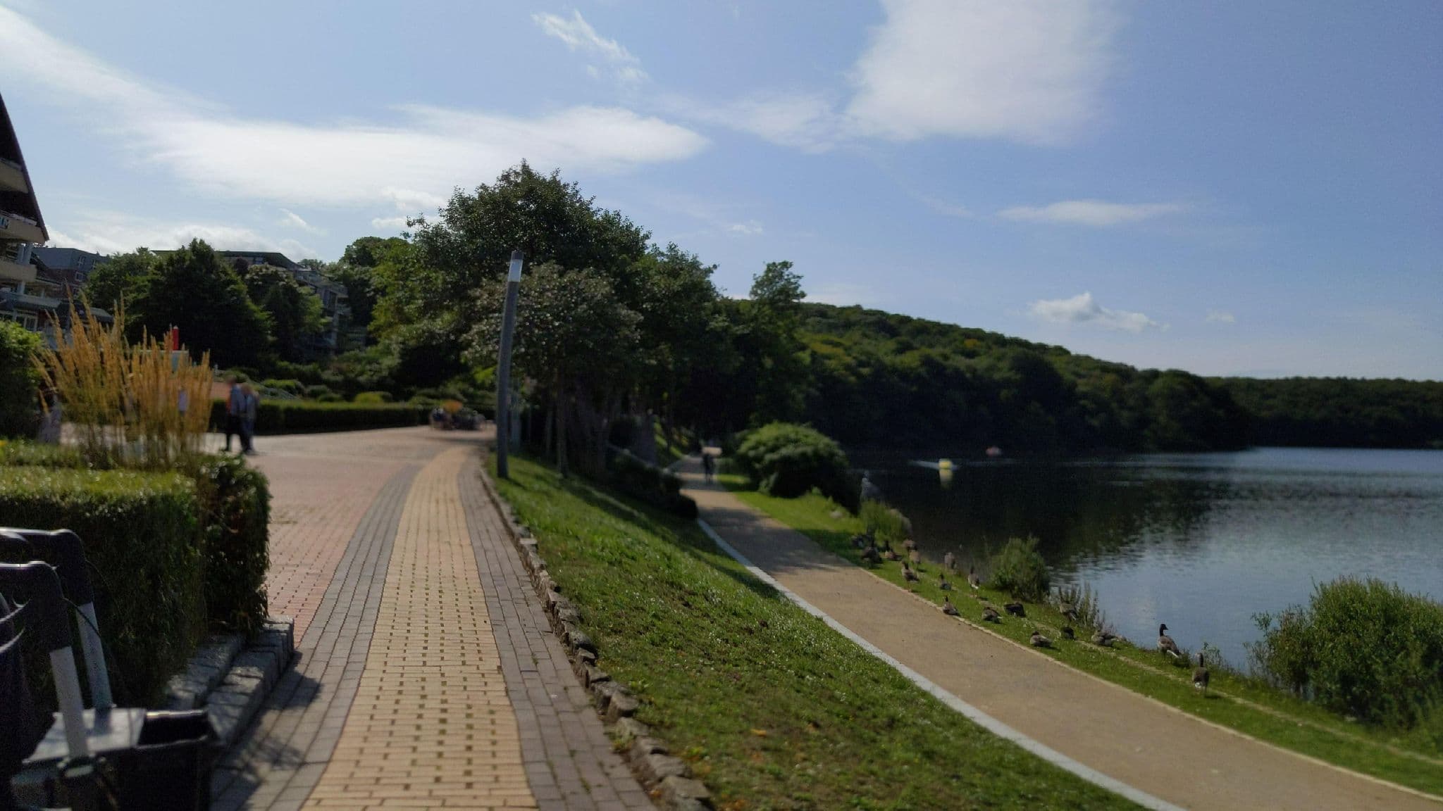 Street view near Hotel Seerose Malente, Malente — © rasmustravemnd (CC BY-SA · Mapillary)