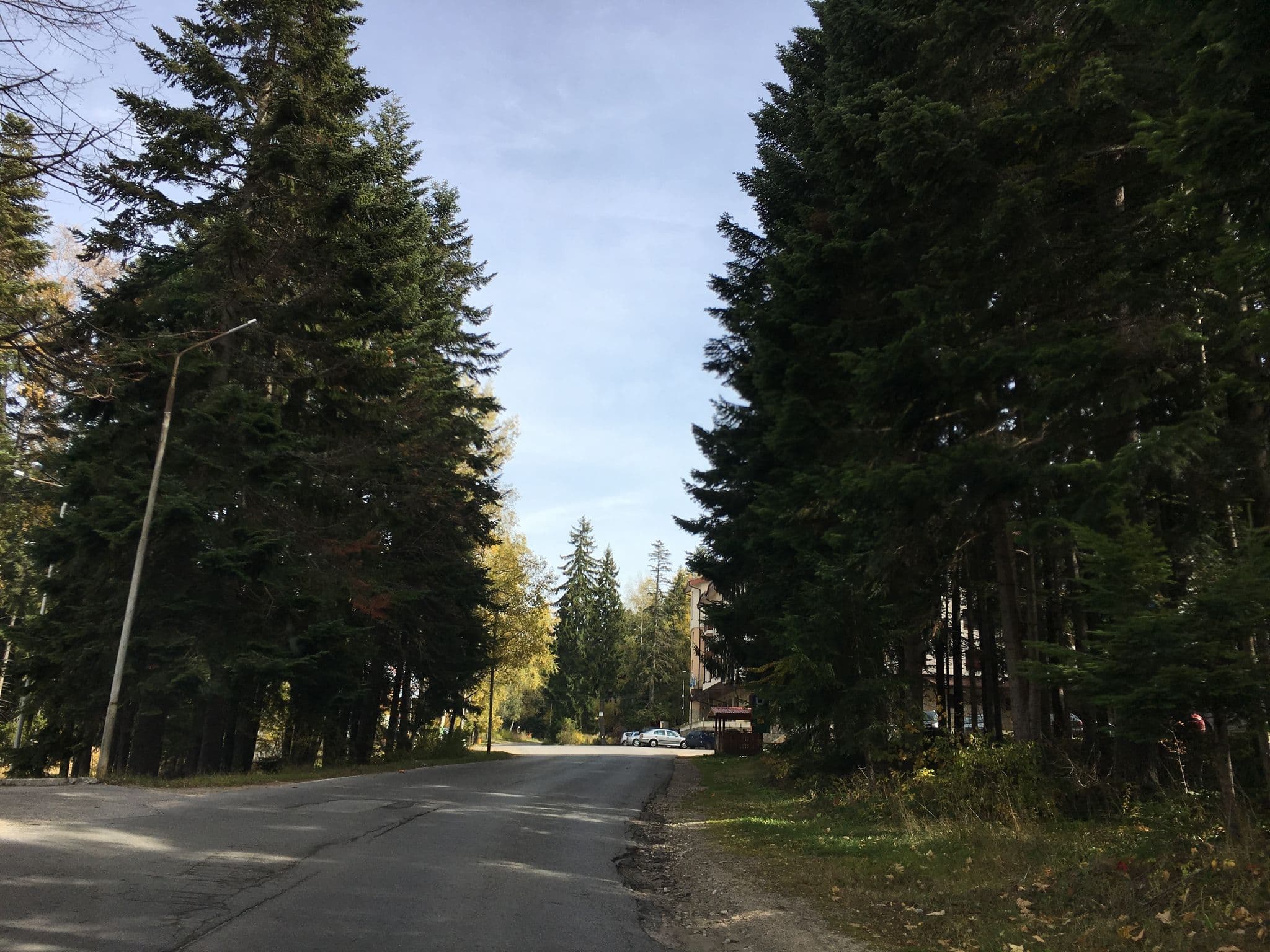 Street view near Borovets Gardens Hotel, Samokov — © rerex (CC BY-SA · Mapillary)