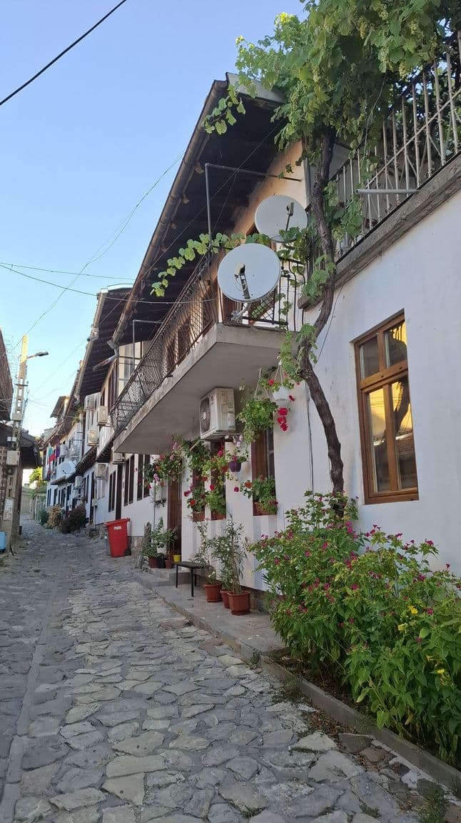 Street view near White House, Veliko Tŭrnovo — © AndreiDan71 (CC BY-SA · Mapillary)