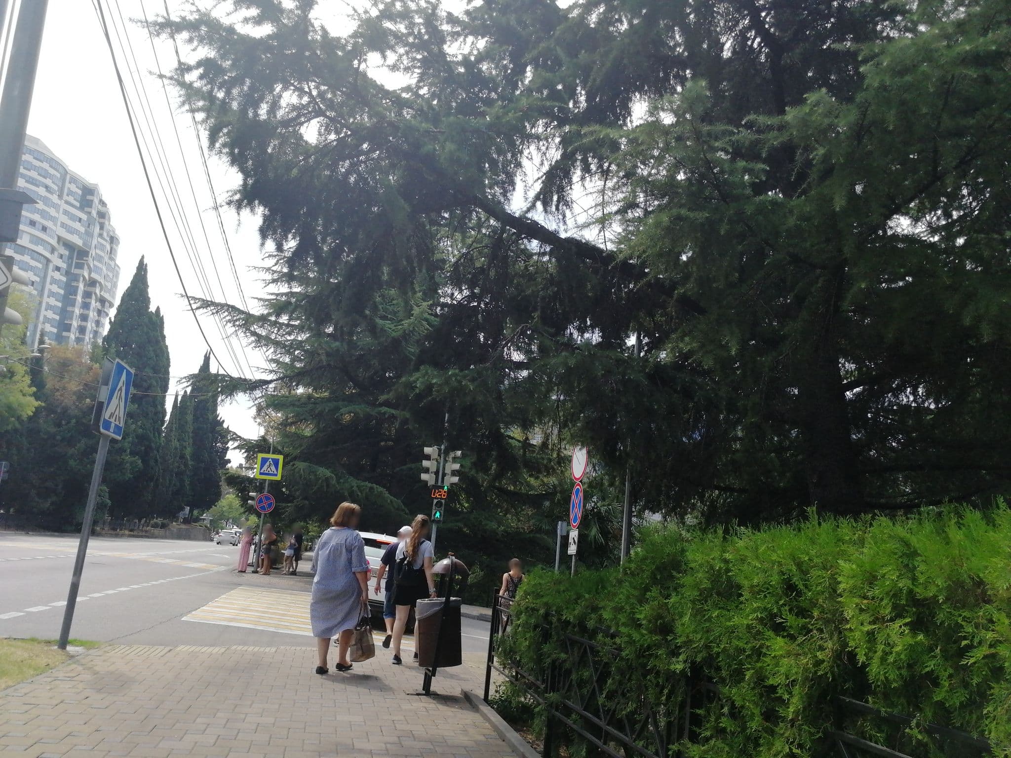 Street view near Хостел Оазис Центр, Sochi — © nekhorosheva (CC BY-SA · Mapillary)