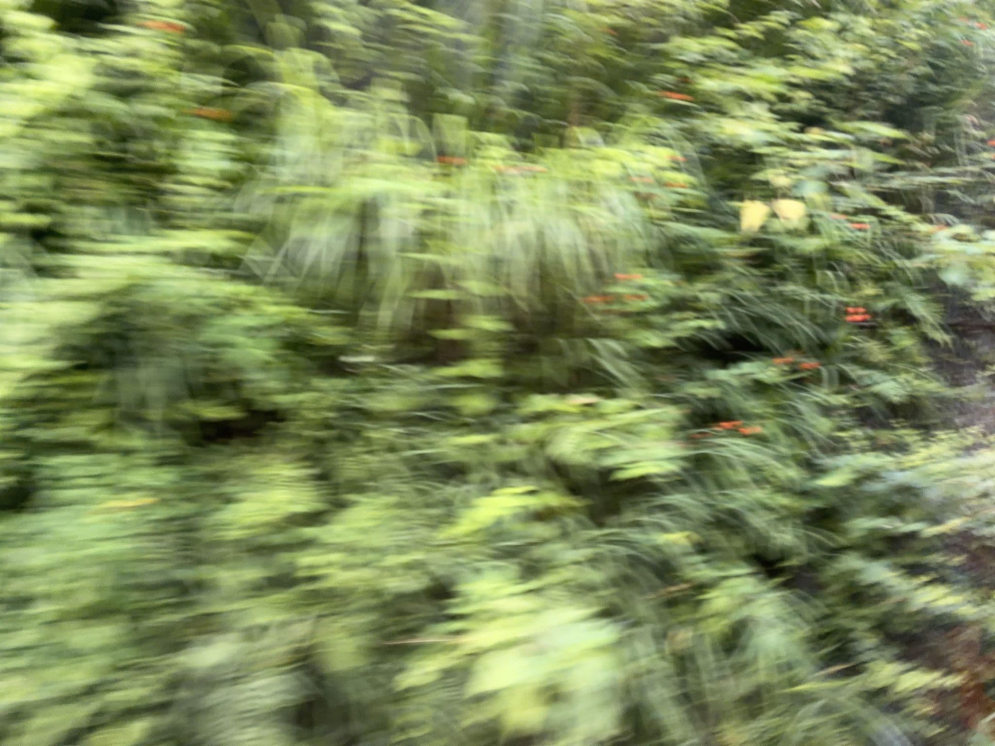 Street view near 箱根湯本温泉 千尺の湯 湯蔵, Hayakawa — © ChenJJ (CC BY-SA · Mapillary)