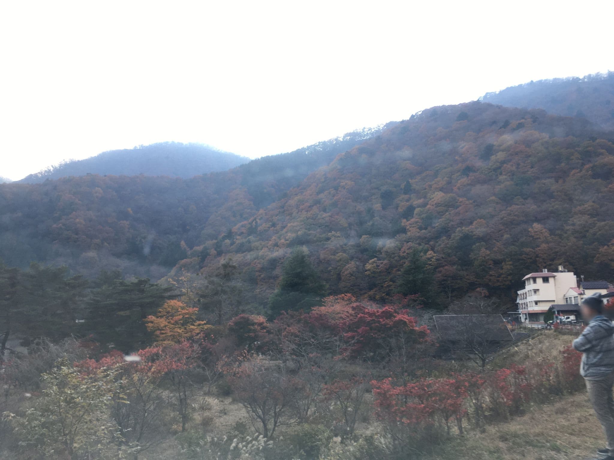 Street view near ふじみ荘, Fujikawaguchiko — © mapconcierge (CC BY-SA · Mapillary)