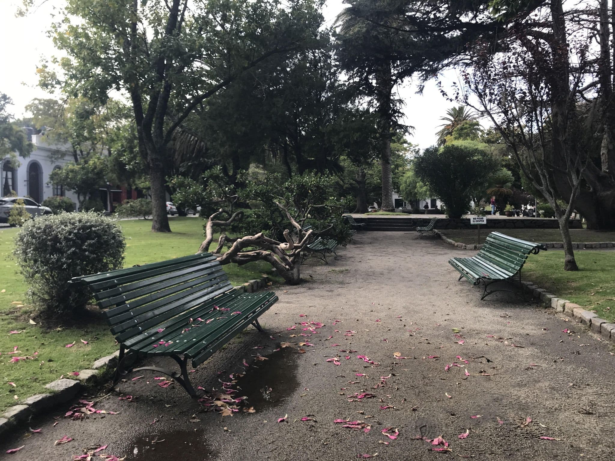 Street view near La Misión, Colonia del Sacramento — © miguel_andrade (CC BY-SA · Mapillary)