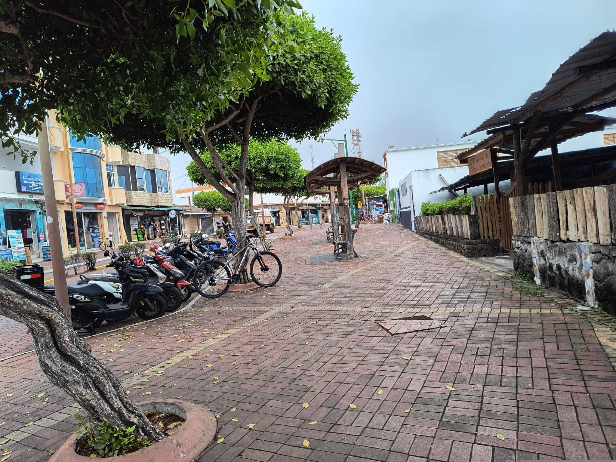 Street view near Carliza Departmentos, Puerto Ayora — © mapeadora (CC BY-SA · Mapillary)