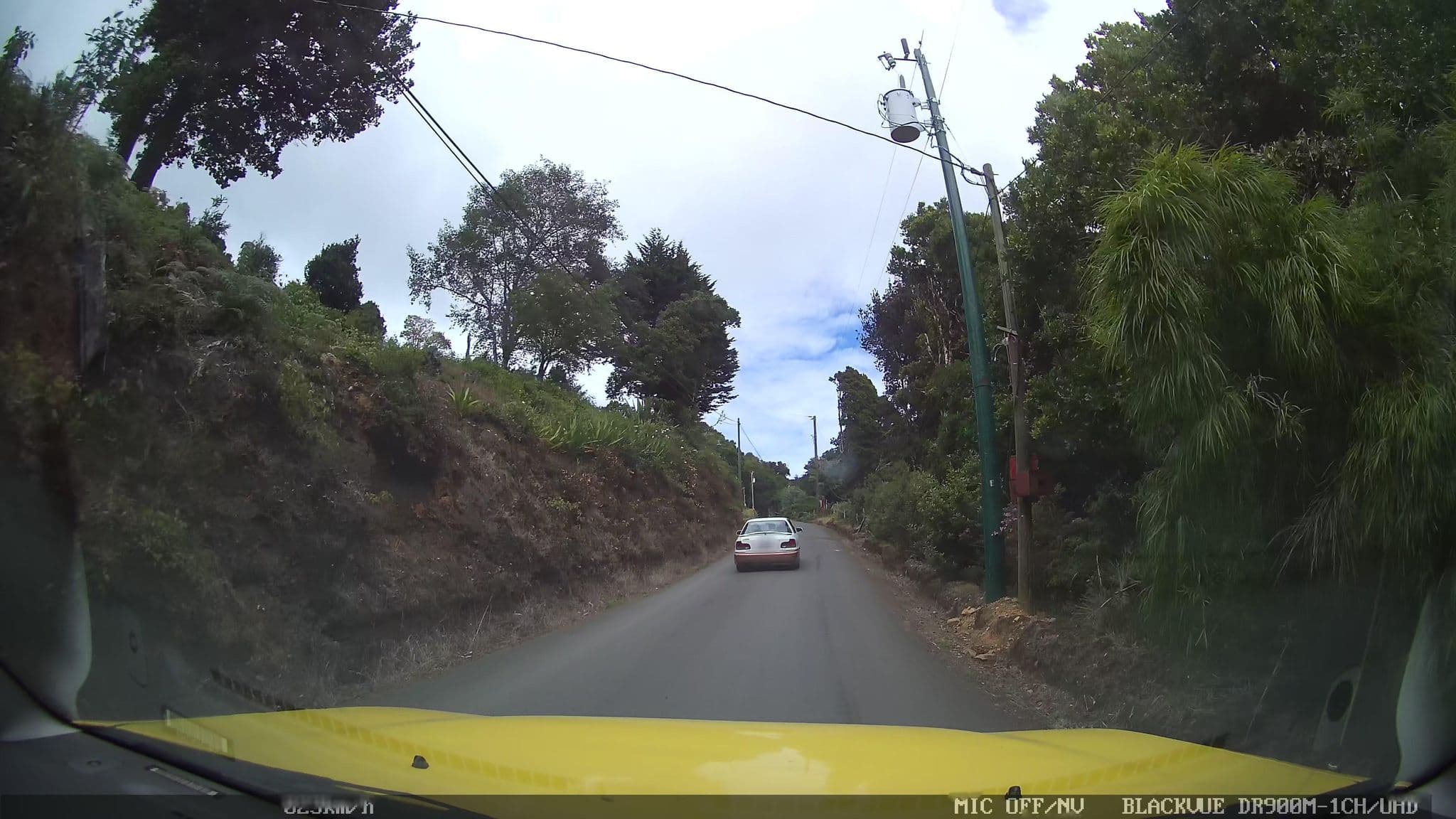 Street view near Miriam’s Quetzals, Orosi — © josealb (CC BY-SA · Mapillary)