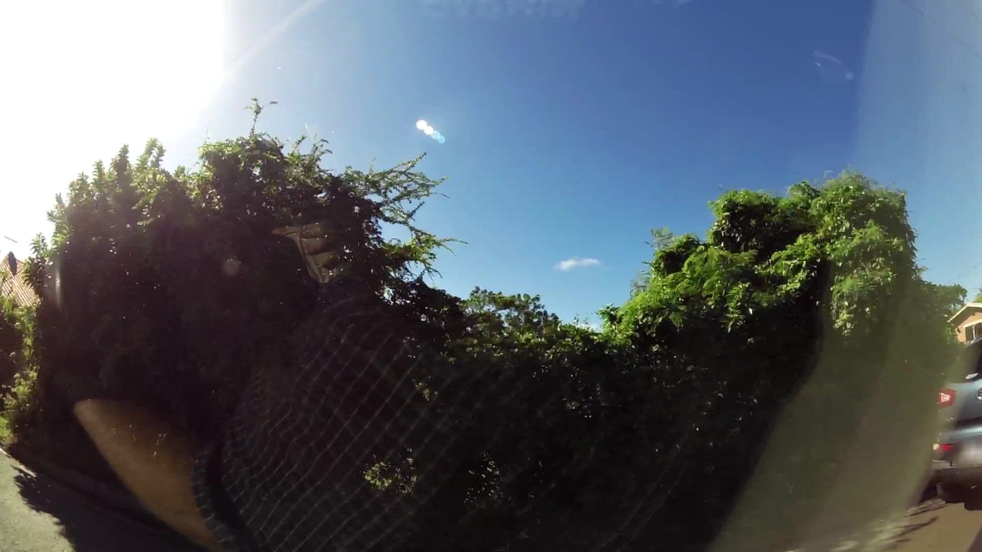 Street view near The Little Flower Guest House, Scarborough — © kaartcam (CC BY-SA · Mapillary)