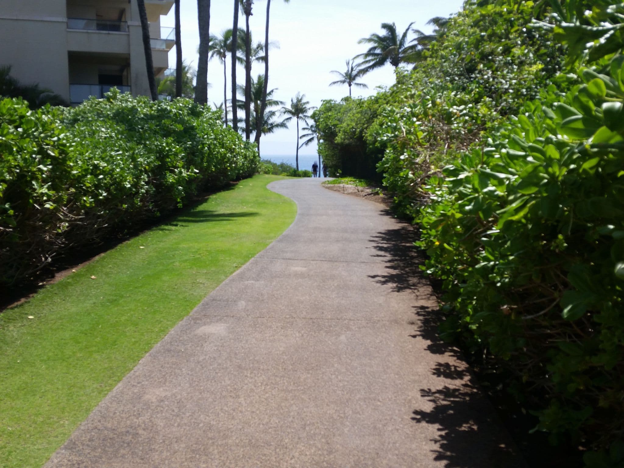 Street view near Montage Building 2, Napili-Honokowai — © rps333 (CC BY-SA · Mapillary)