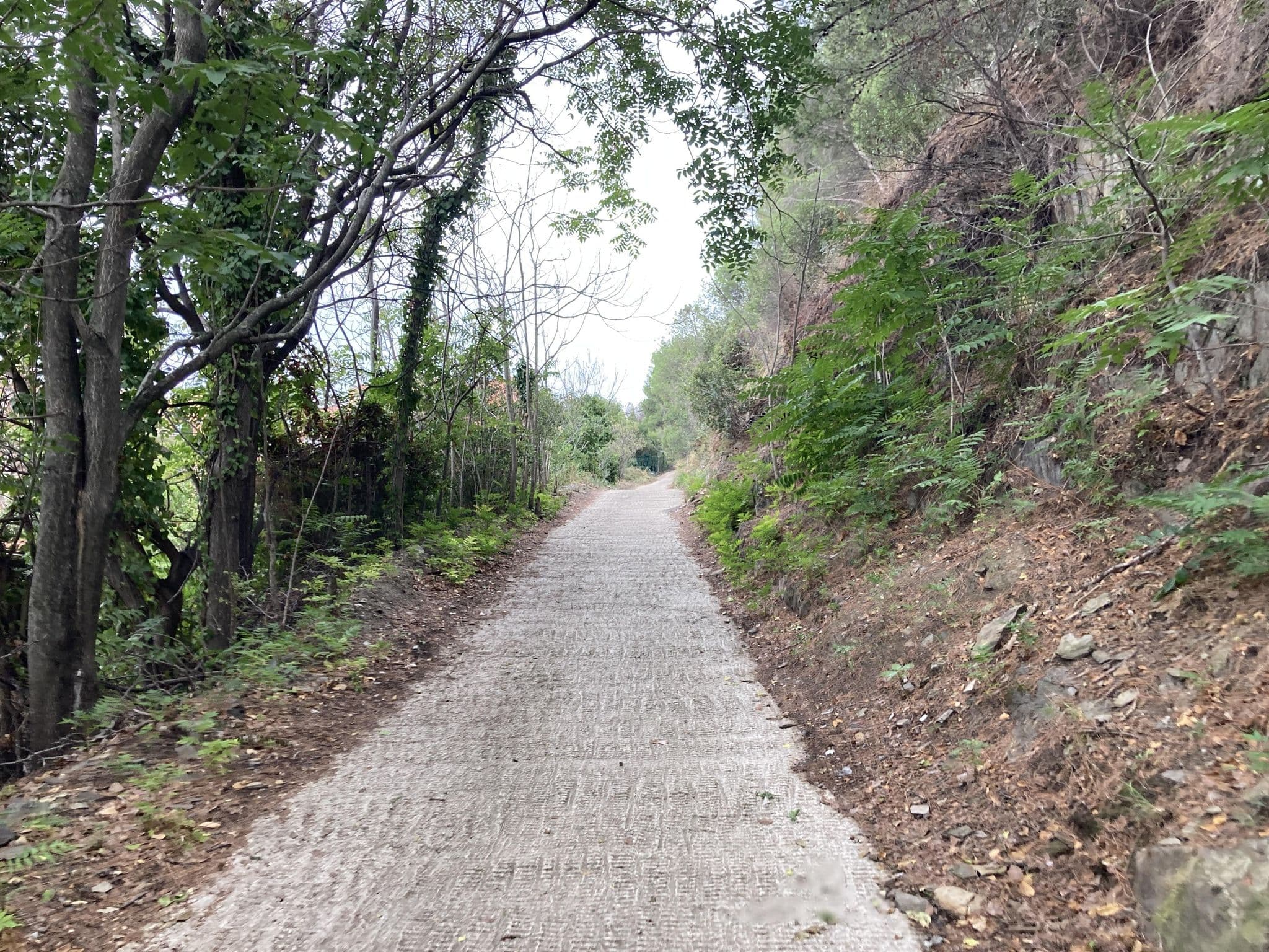 Street view near Le Bon Port, Collioure — © maxm64 (CC BY-SA · Mapillary)