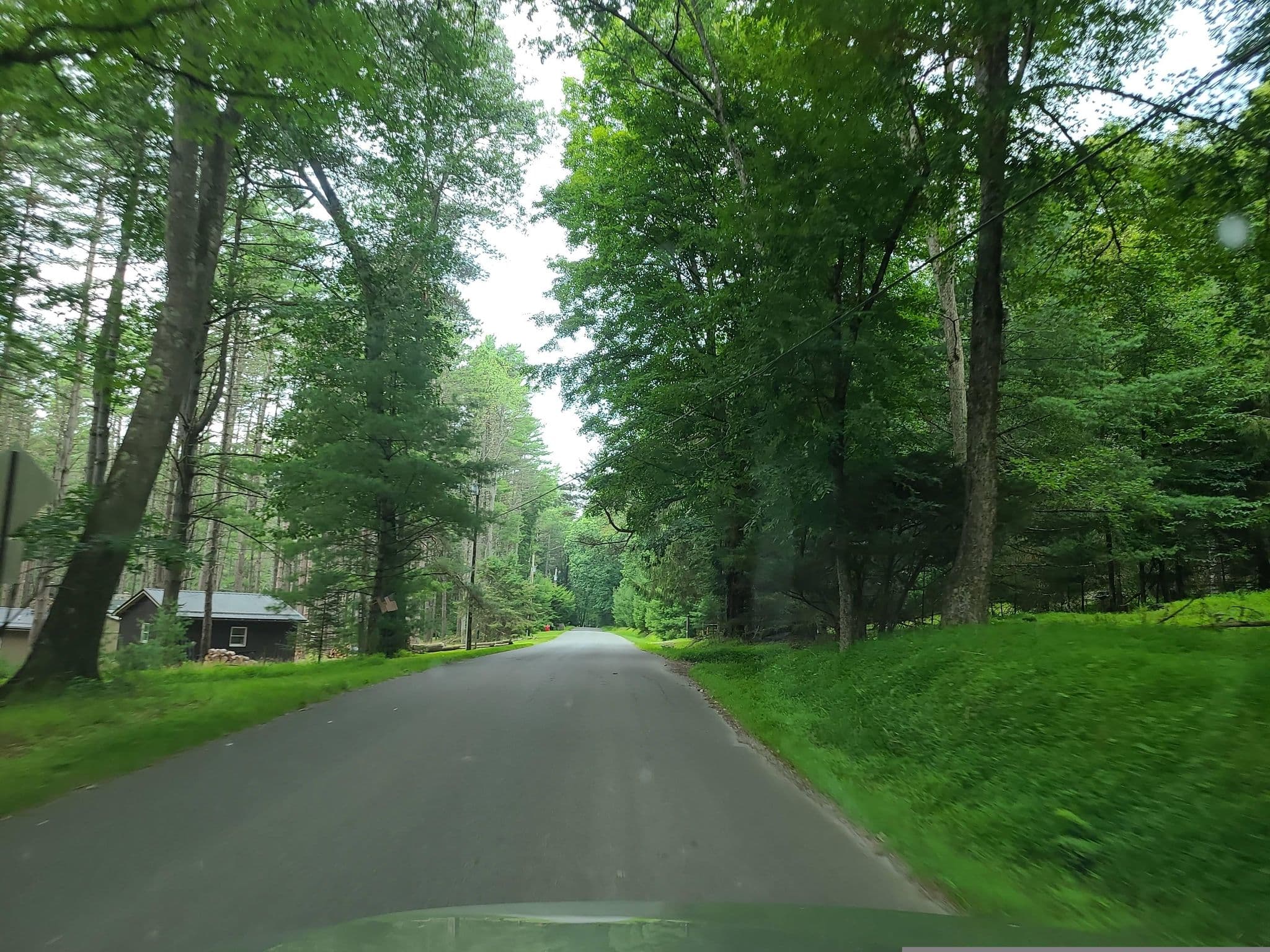 Street view near Clear Creek Cottage, Marienville — © rpjjpr (CC BY-SA · Mapillary)