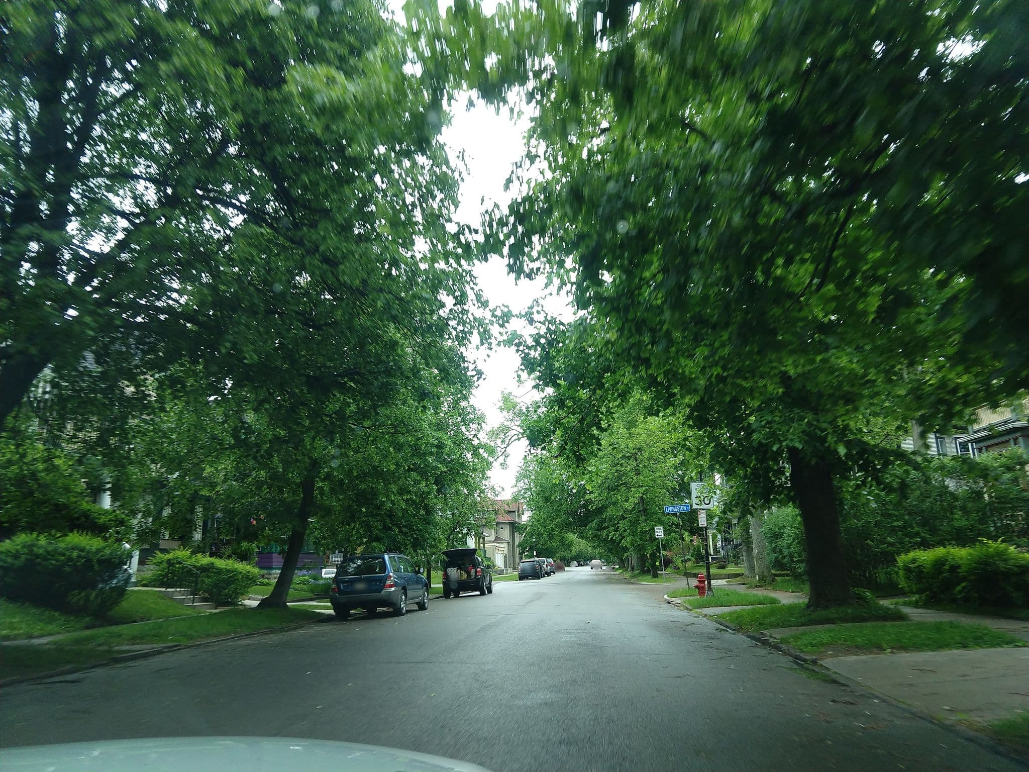 Street view near The Thunderdome, Buffalo — © roamingbuffalonian (CC BY-SA · Mapillary)