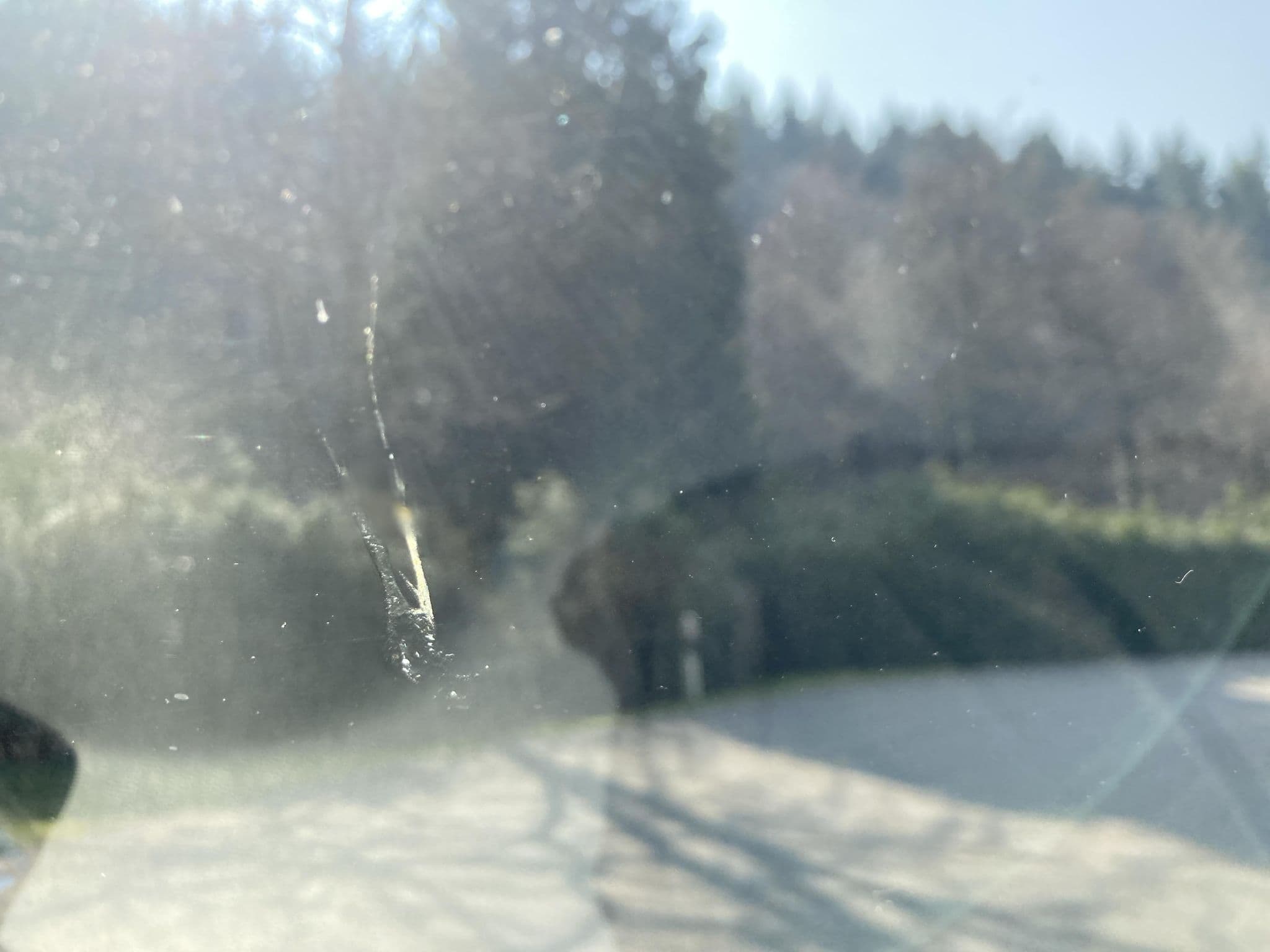 Street view near Bergquell-Schlößchen, Badenweiler — © tasmaniadevil (CC BY-SA · Mapillary)