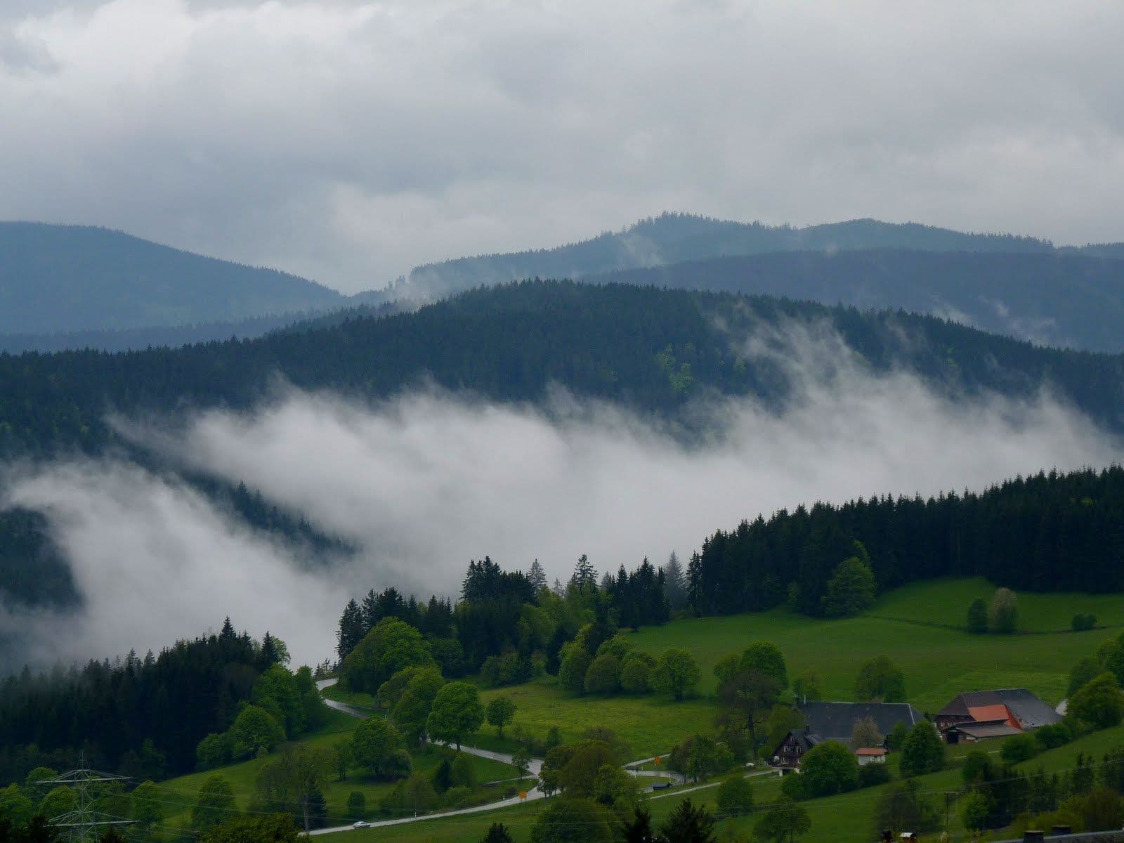 Street view near Ferienwohnung Hause in der Natur, Titisee-Neustadt — © pieter2035 (CC BY-SA · Mapillary)