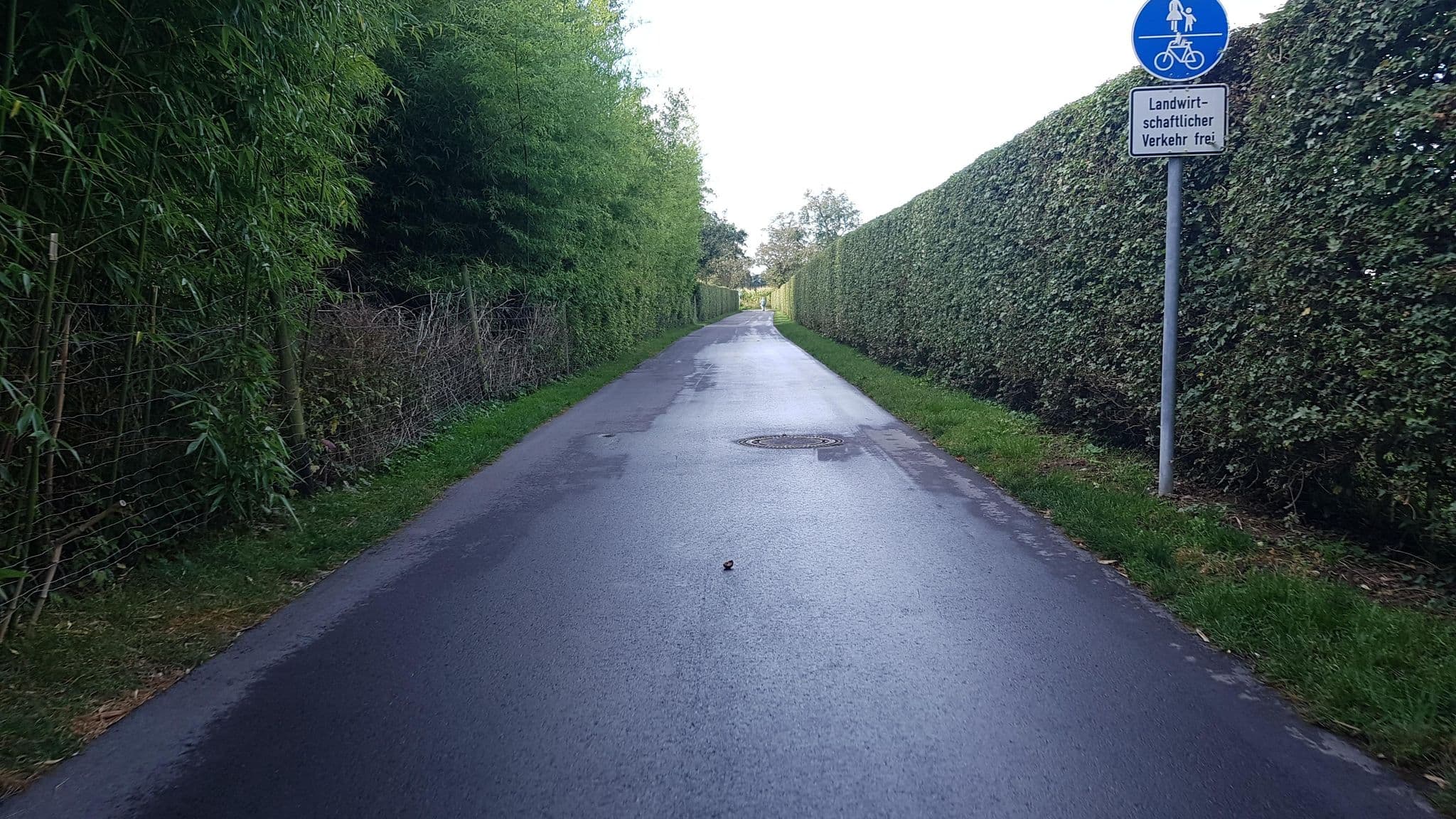 Street view near Dorfkrug Kressbronn, Kressbronn am Bodensee — © thmunichways (CC BY-SA · Mapillary)