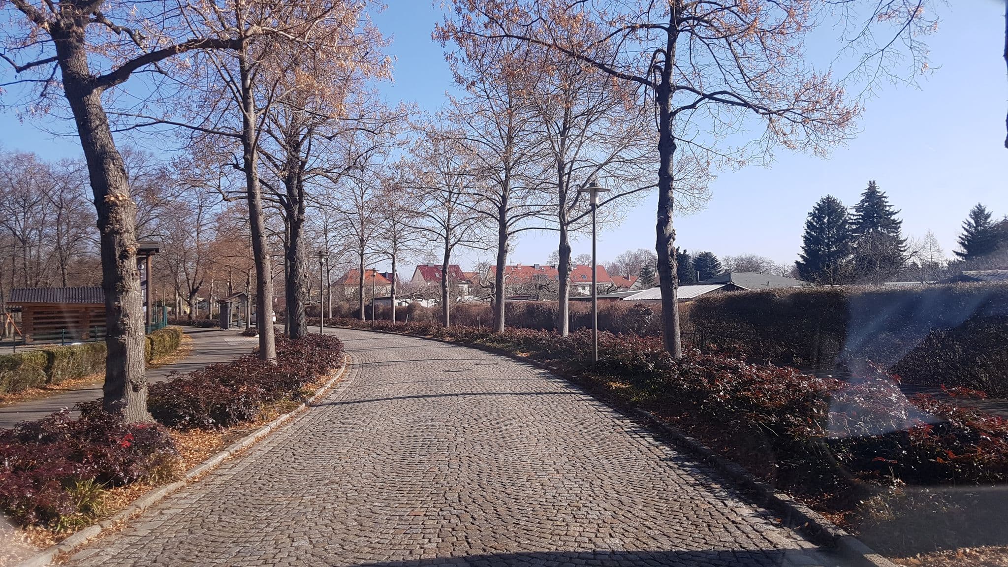 Street view near Hotel LIDO Senftenberg - Natur- und Erlebnisresort, Senftenberg — © dsmm (CC BY-SA · Mapillary)