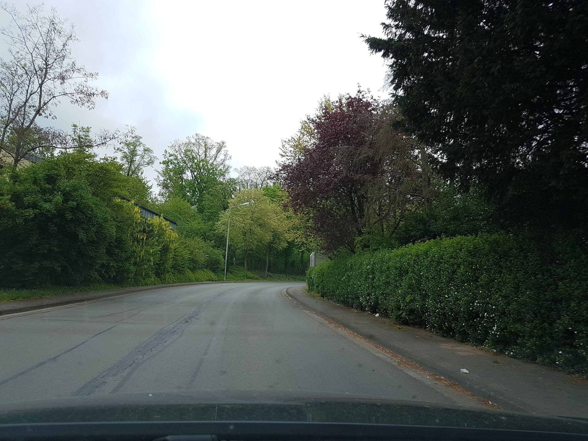 Street view near Adomat Bernd Rentenberater, Hameln — © snowdiver (CC BY-SA · Mapillary)