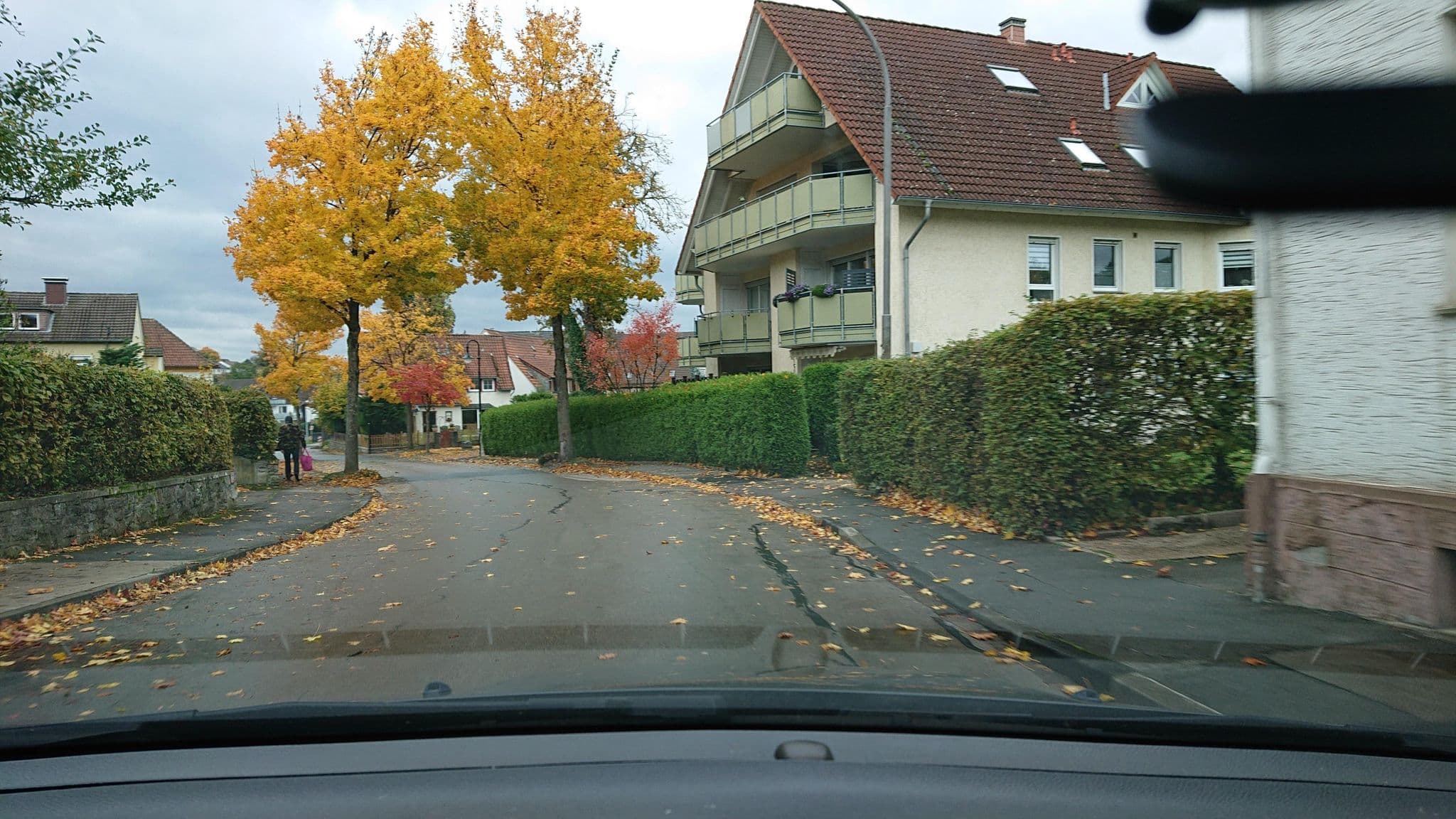 Street view near Haus Haase, Bad Meinberg — © analuisa (CC BY-SA · Mapillary)