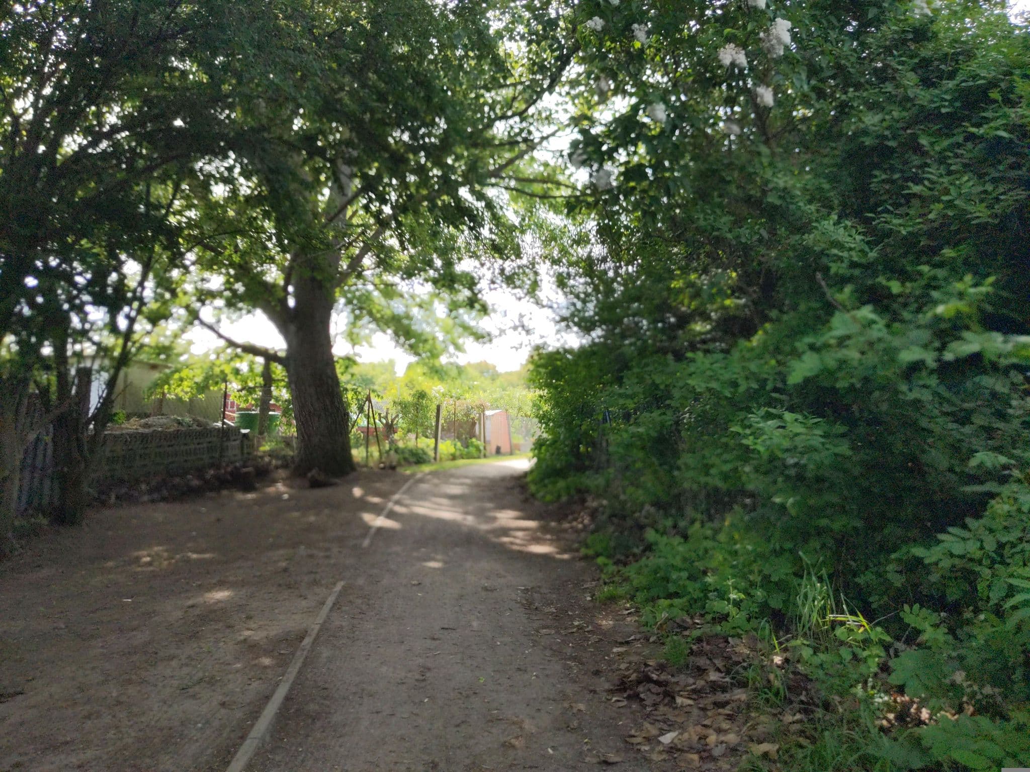 Street view near Mein Ostseeferienhaus, Gramkow — © rasmustravemnd (CC BY-SA · Mapillary)