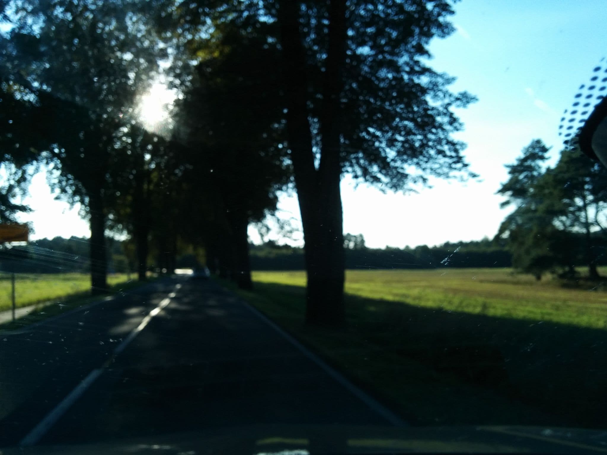 Street view near Pension Schumacher, Ueckermünde — © elgolfo (CC BY-SA · Mapillary)