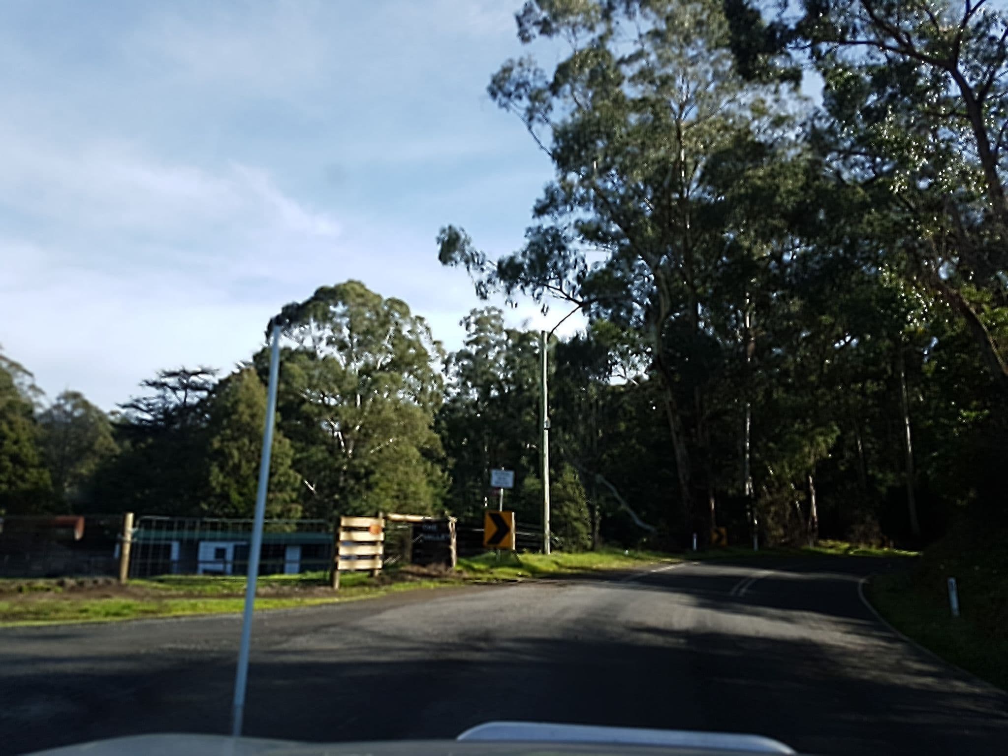 Street view near Exotic Forest Edge Sanctuary, Healesville — © stev391 (CC BY-SA · Mapillary)