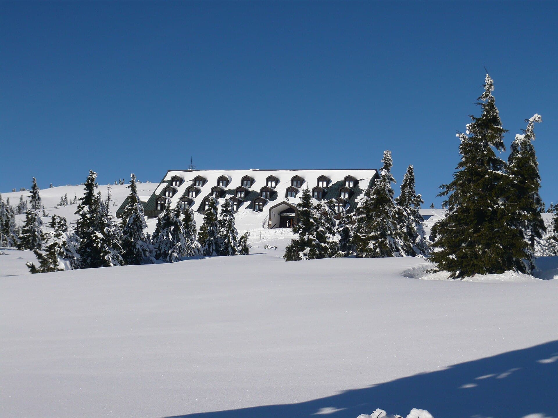 Výrovka (via Wikimedia Commons, CC BY-SA 3.0)