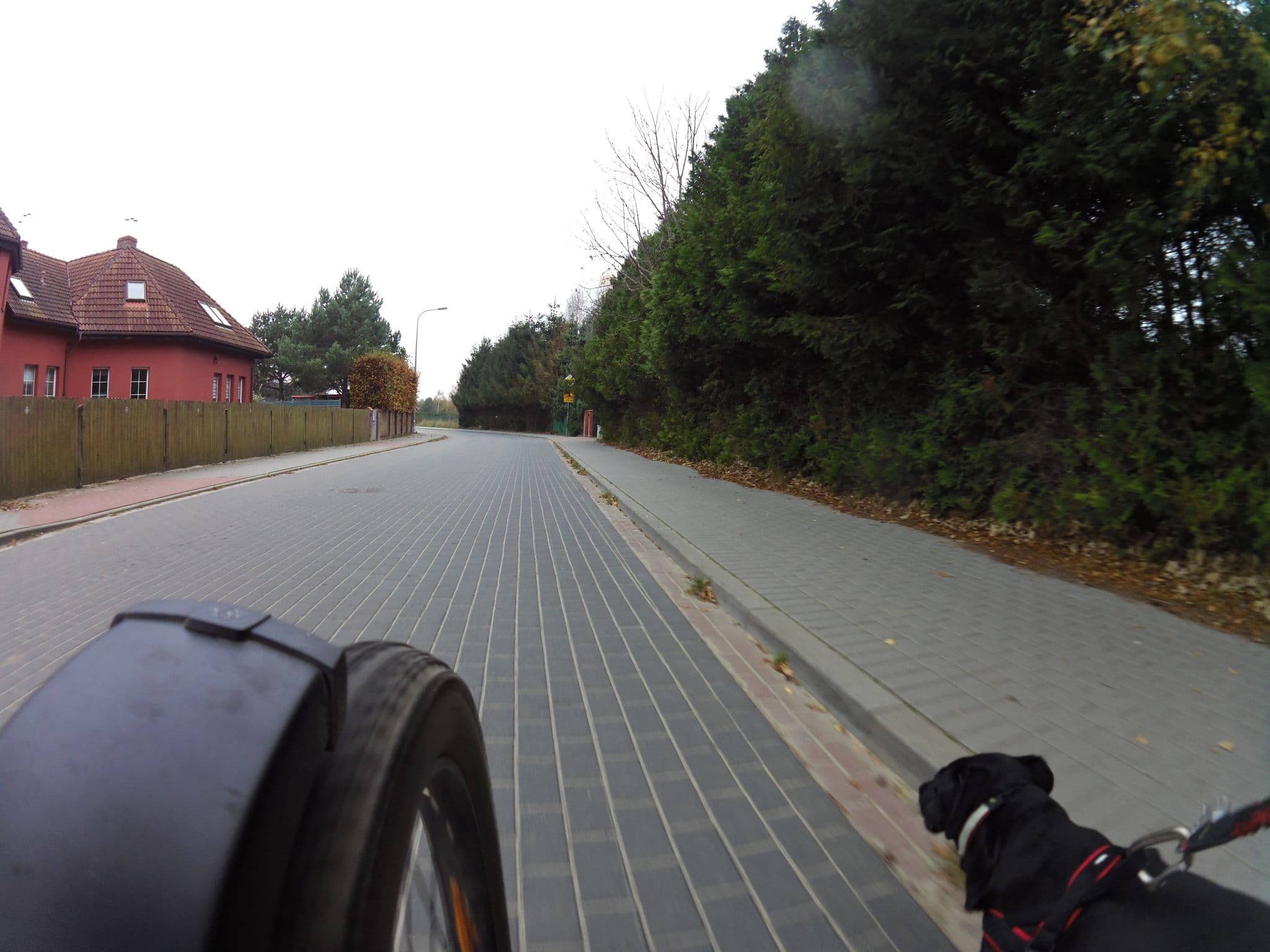 Street view near Villa Nova Dębki, Wierzchucino — © masterofnoroad (CC BY-SA · Mapillary)