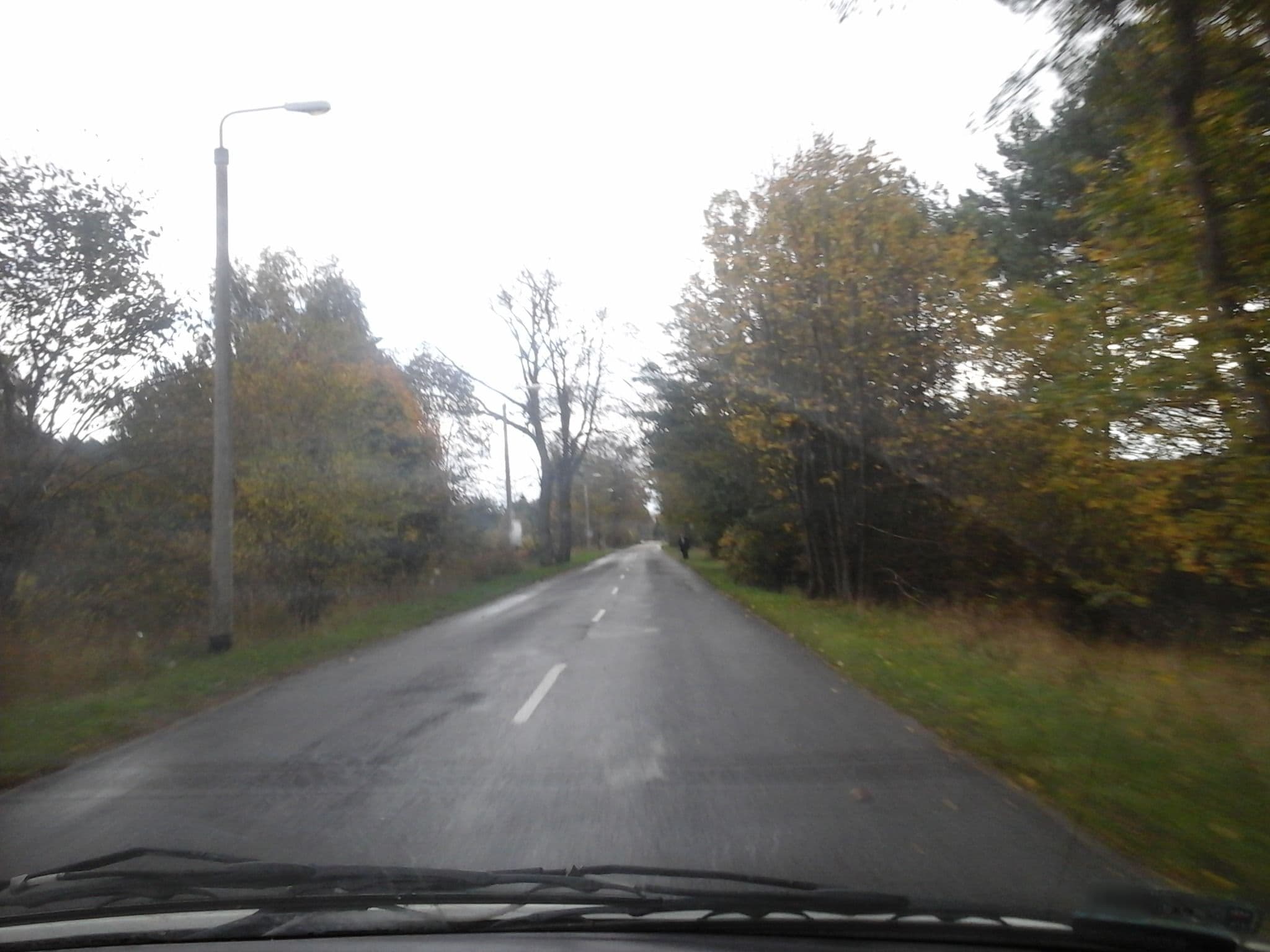 Street view near Villa Hossa, Wyspa Sobieszewska — © rudzielec (CC BY-SA · Mapillary)