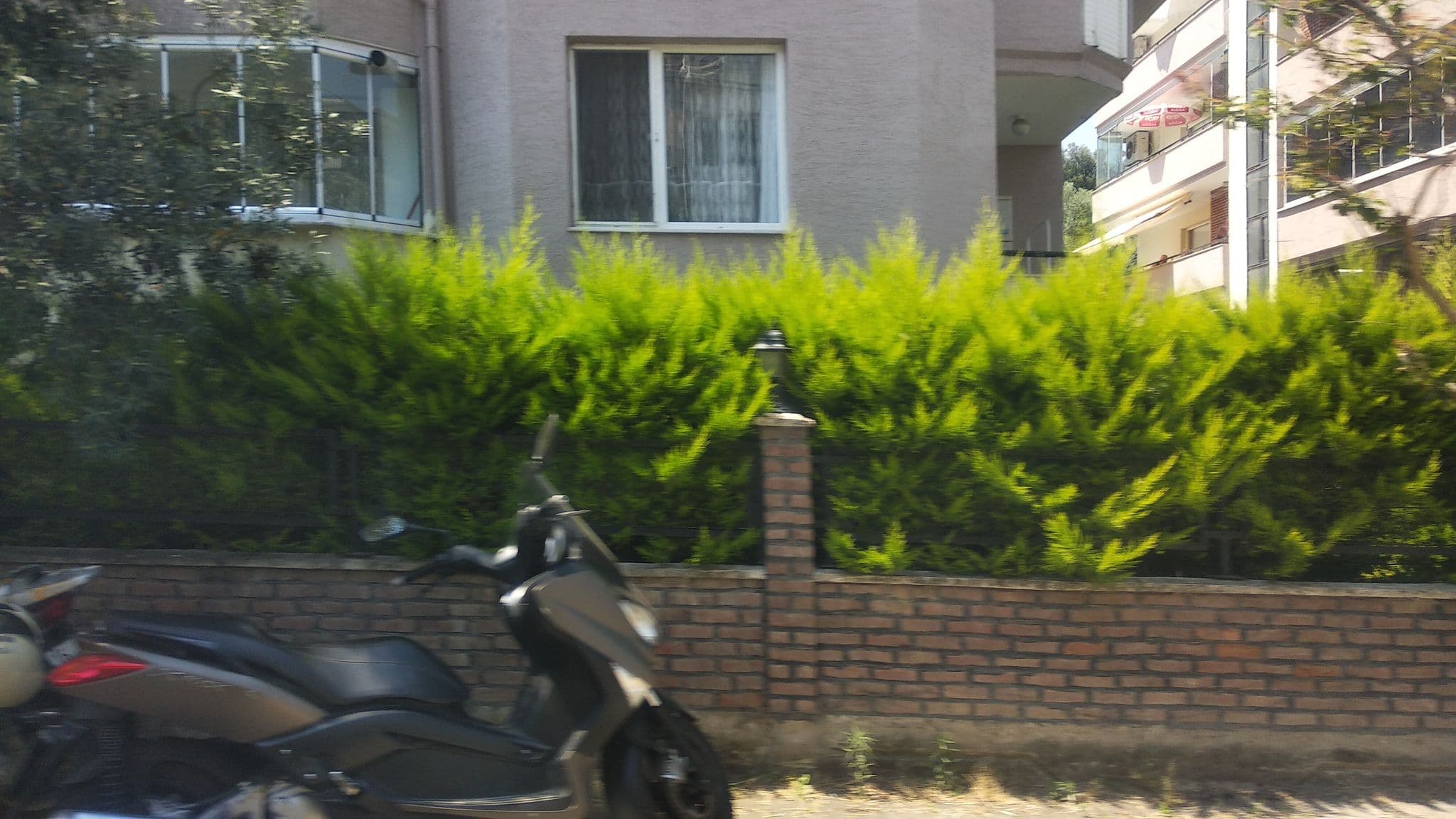 Street view near Seta Pool, Mudanya — © boracasli (CC BY-SA · Mapillary)