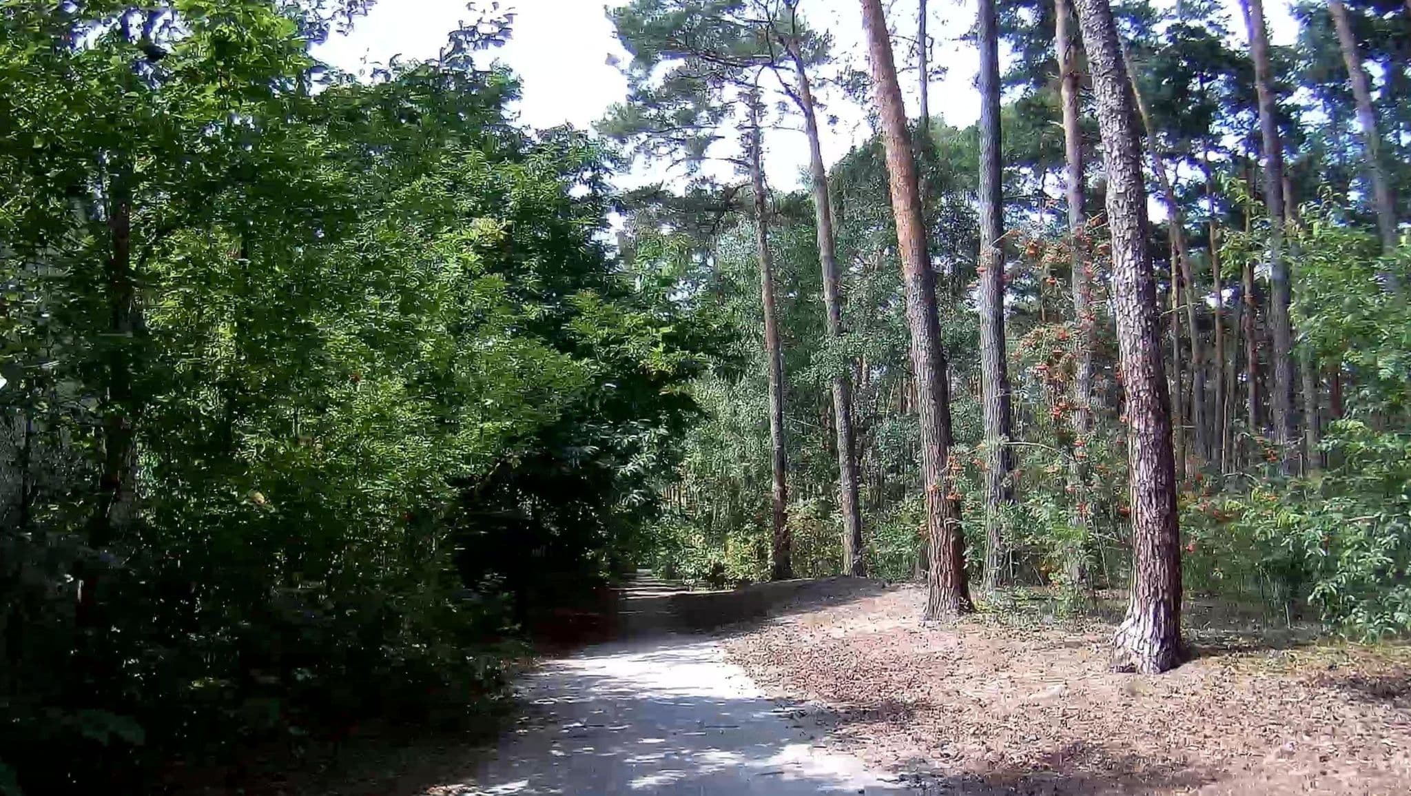Street view near Cottage 245, Dessel — © micmin1972 (CC BY-SA · Mapillary)