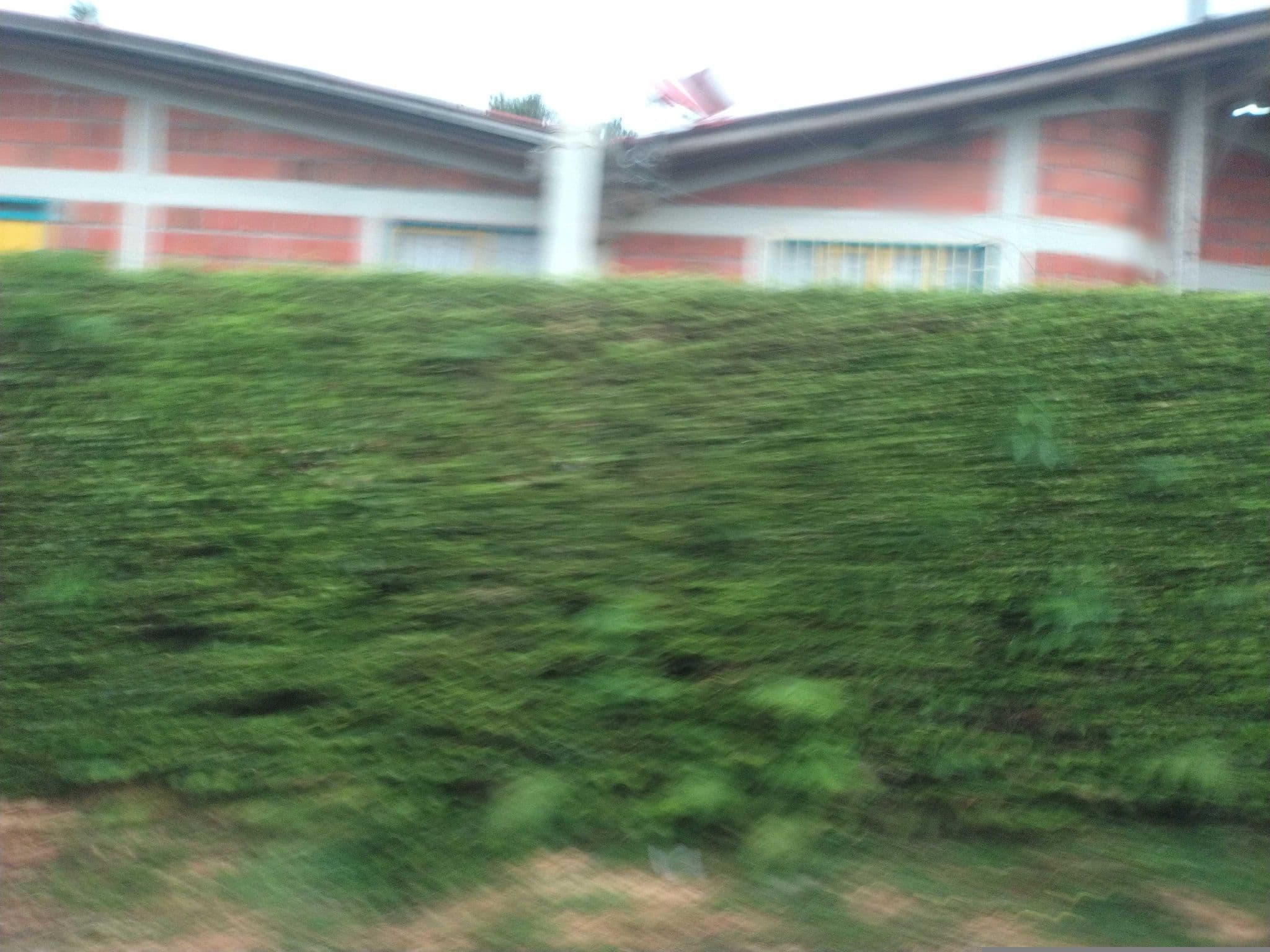 Street view near Finca Hotel Los Cisnes, La Tebaida — © Empanada (CC BY-SA · Mapillary)