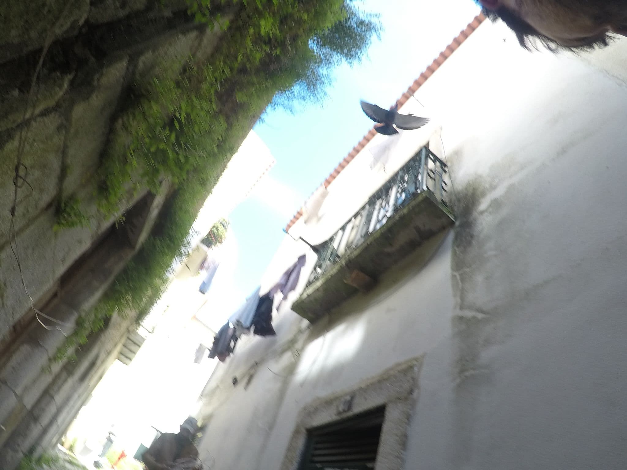 Street view near Suave Hostel Lisboa, Graça — © chrisbeddow (CC BY-SA · Mapillary)