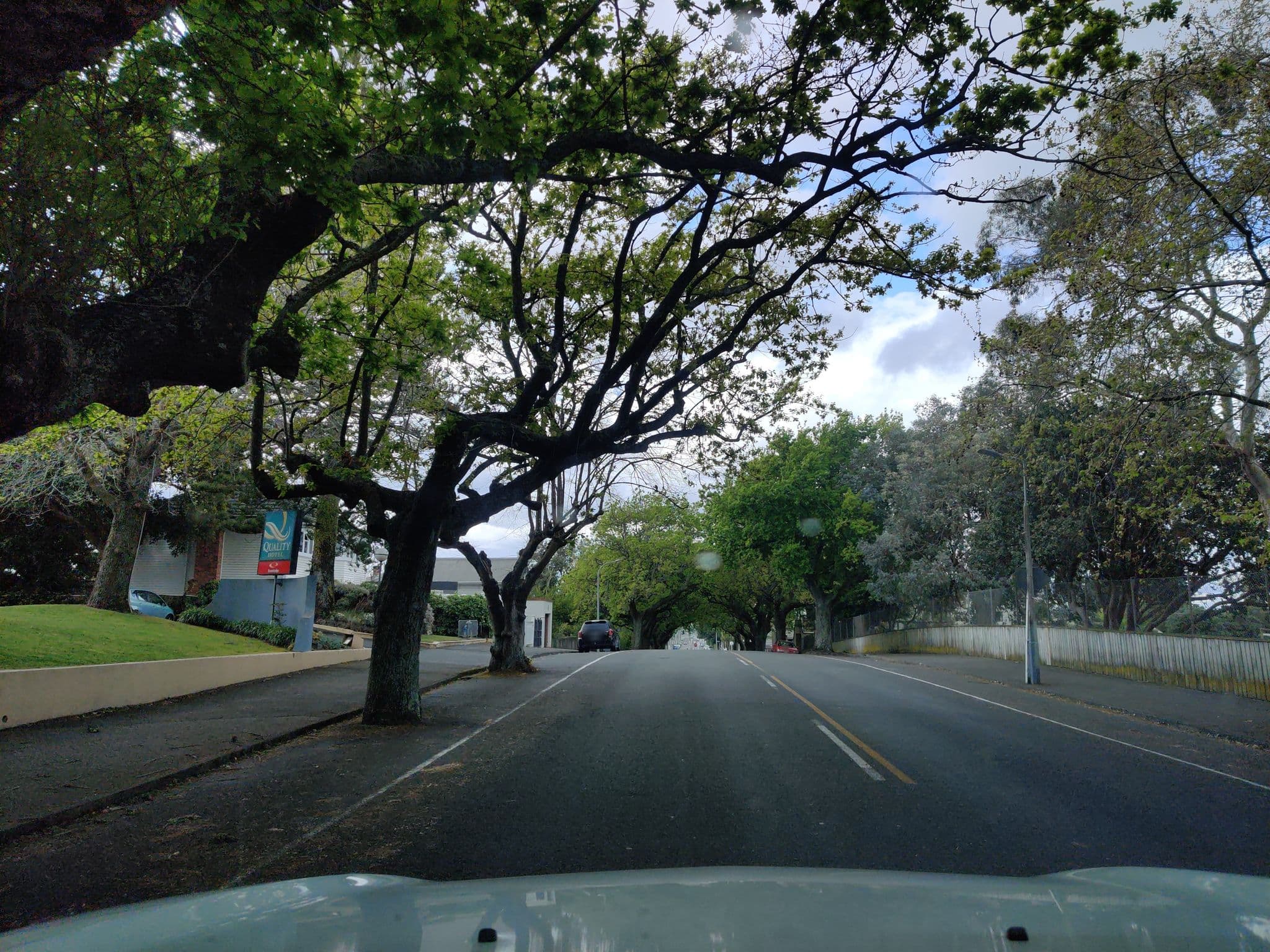 Street view near Quality Inn Collegiate, Whanganui — © elphix (CC BY-SA · Mapillary)