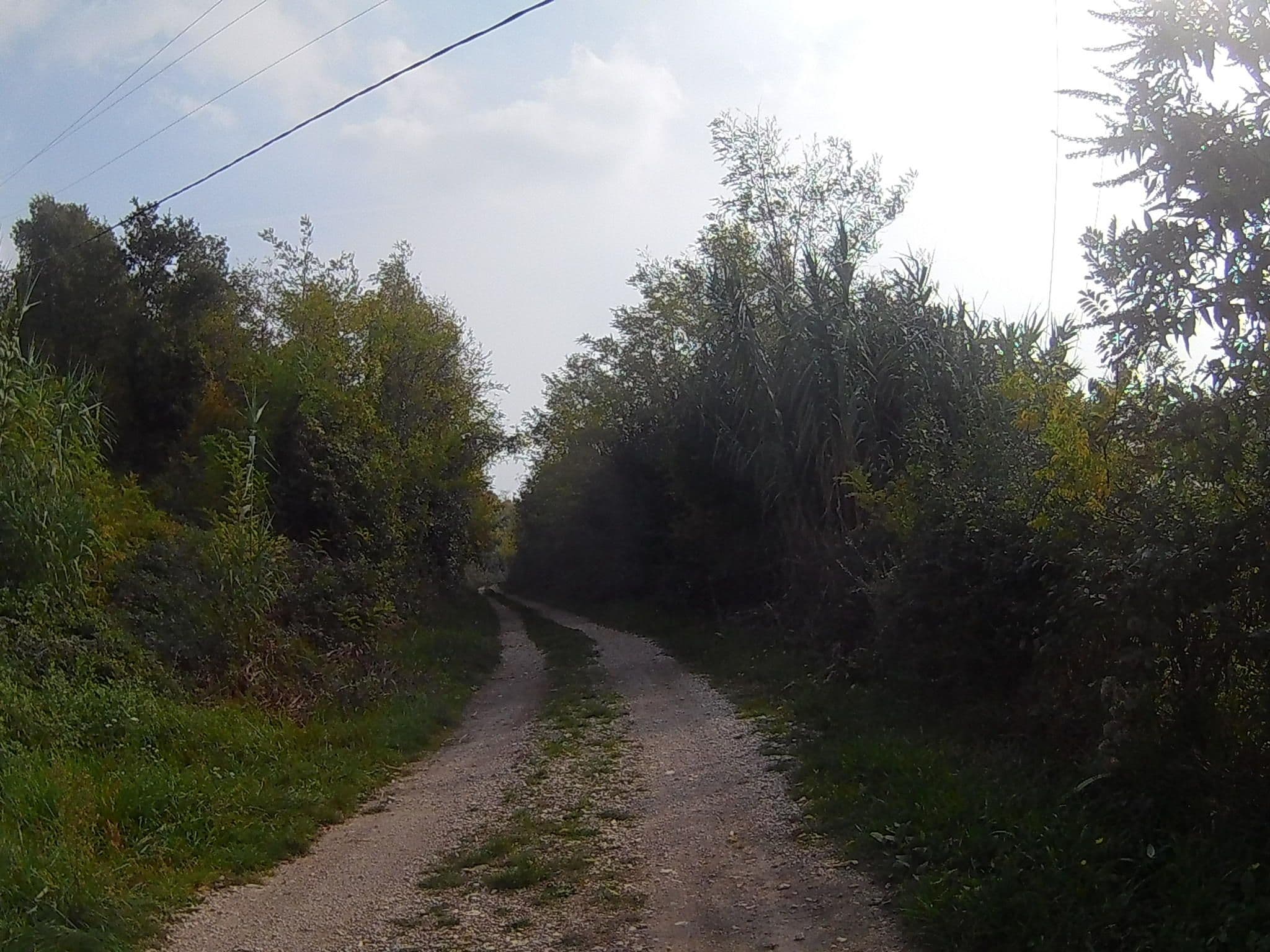 Street view near Apartments Sterna, Buje — © buma (CC BY-SA · Mapillary)