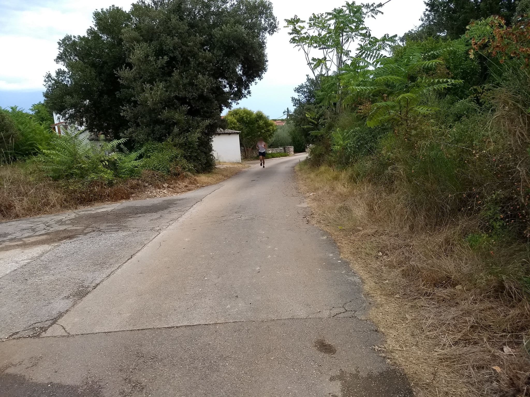 Street view near Apartments Cvita Ugljan, Ugljan — © zelenya (CC BY-SA · Mapillary)