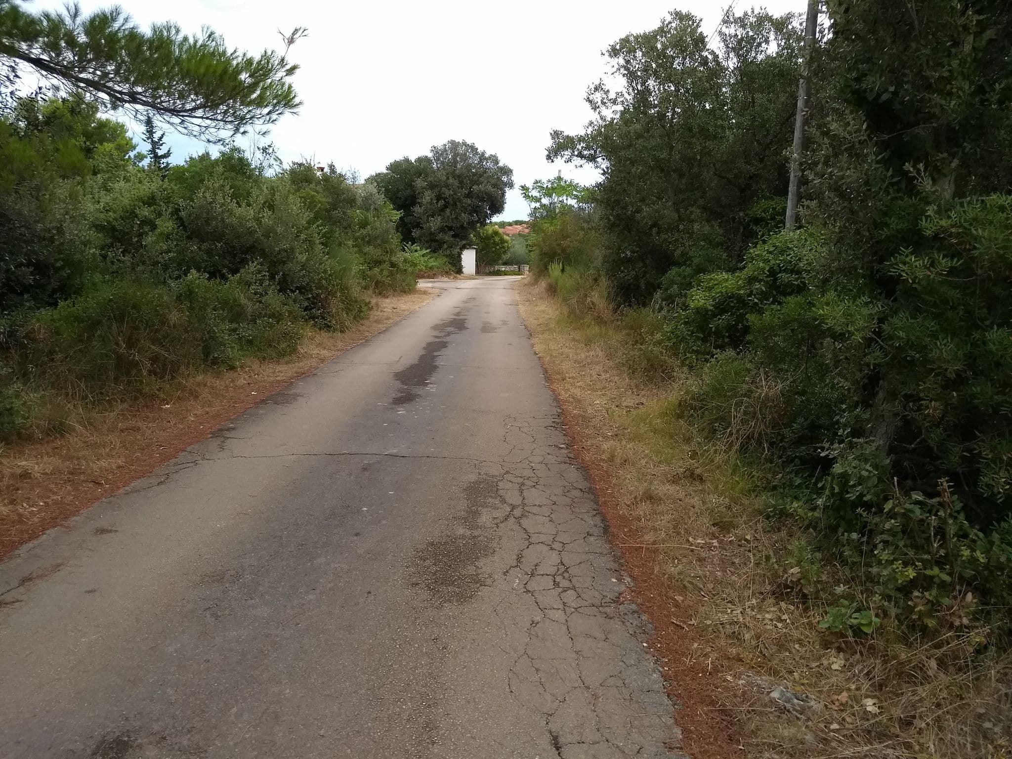 Street view near Villa Isola, Ugljan — © zelenya (CC BY-SA · Mapillary)