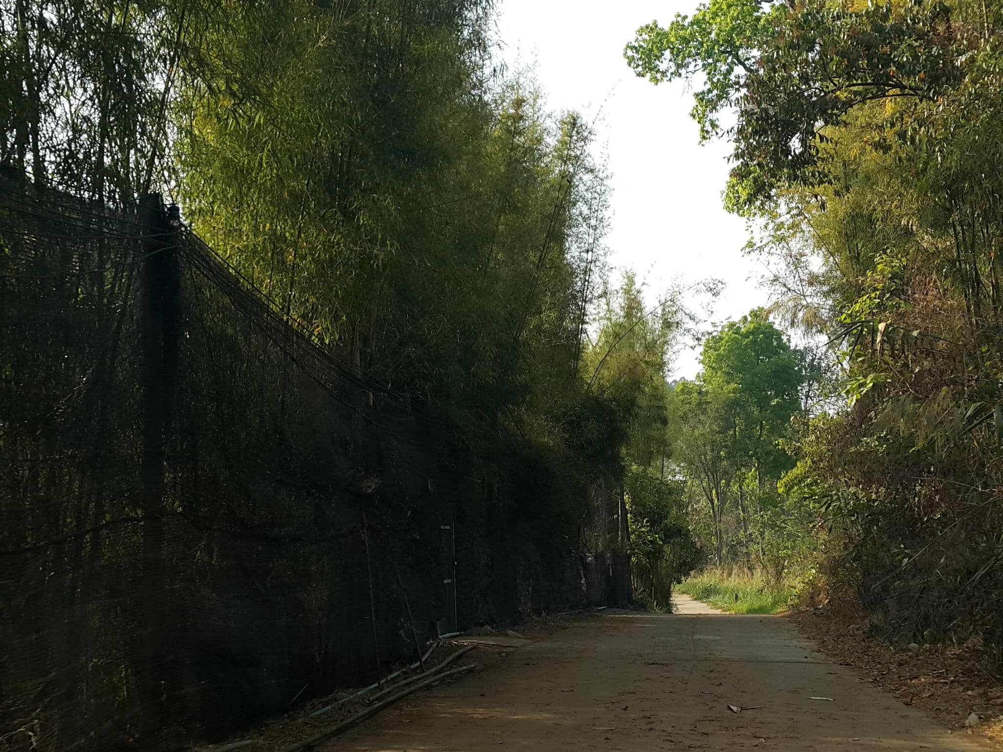 Street view near BaanTata บ้านตาตา, Chiang Mai — © jrcarlsen (CC BY-SA · Mapillary)
