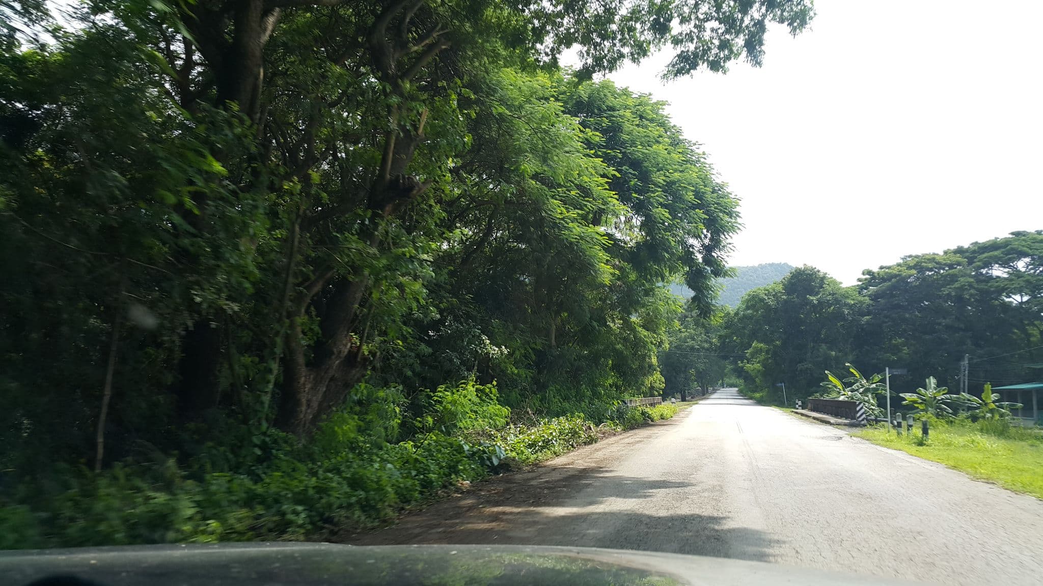 Street view near วังธาร จก บริษัท, San Kamphaeng — © jrcarlsen (CC BY-SA · Mapillary)